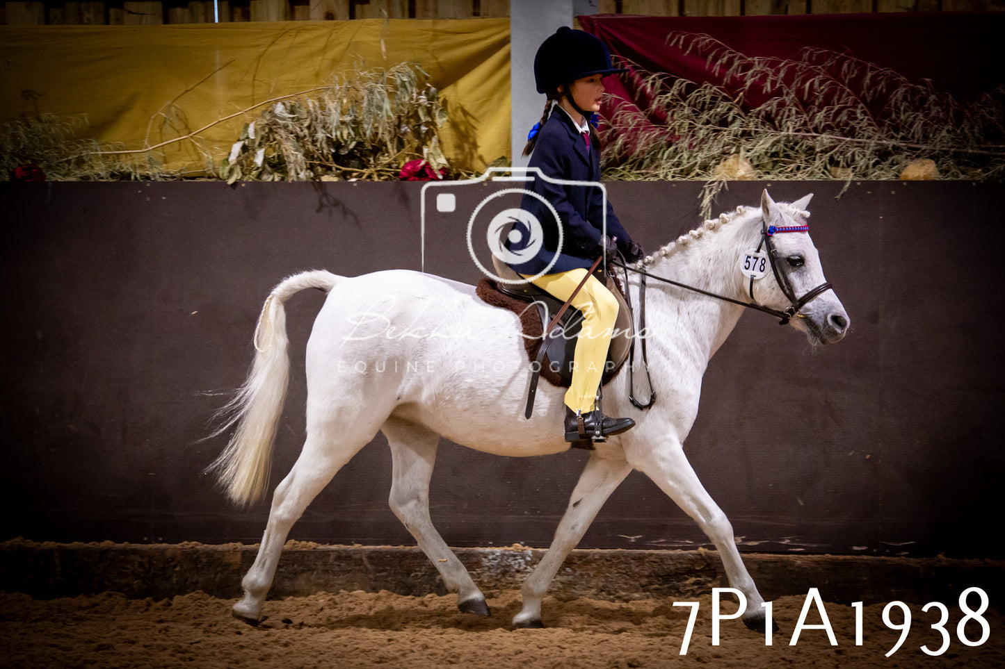 JHOYS 2025 - Ridden Showing - 28th September - pt1