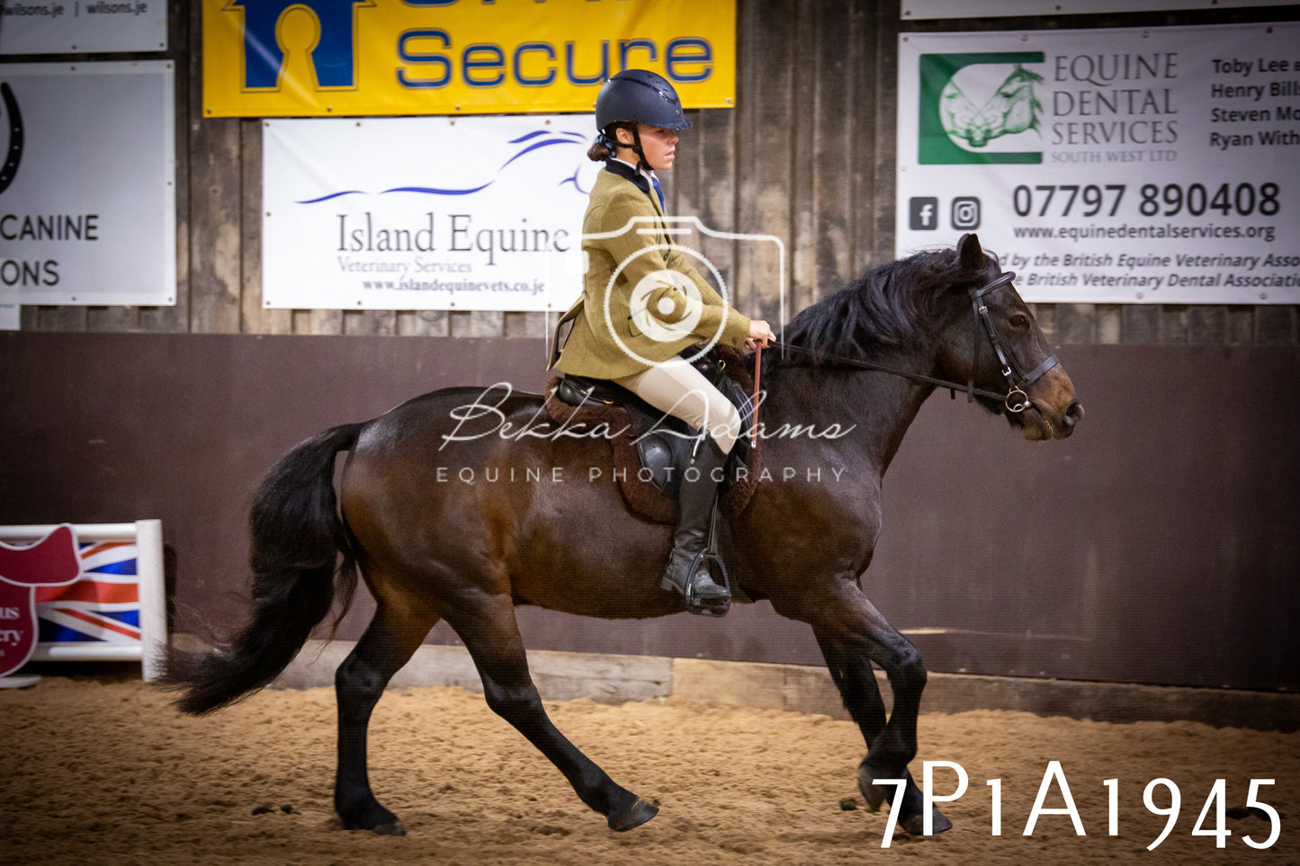 JHOYS 2025 - Ridden Showing - 28th September - pt1