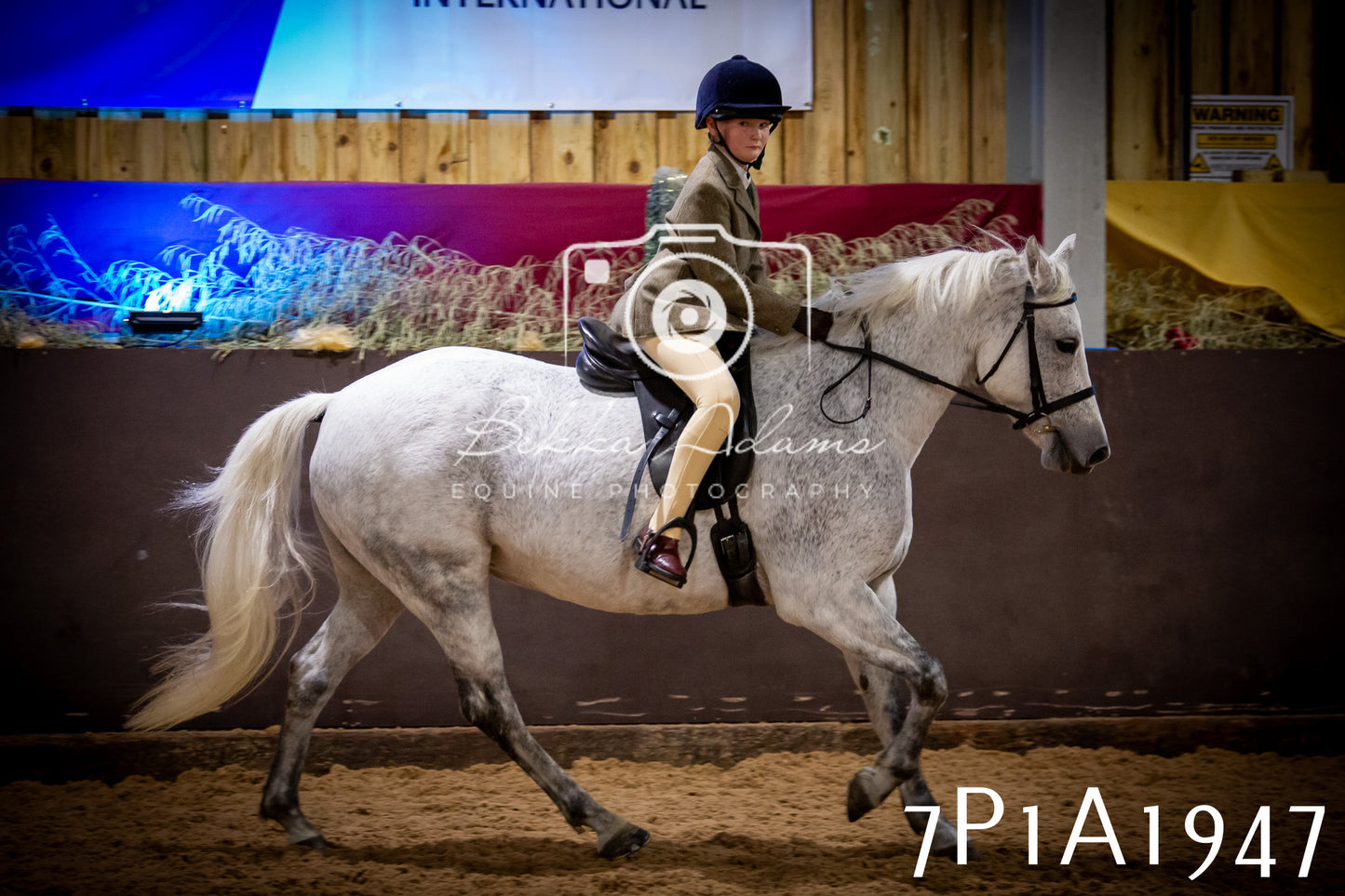 JHOYS 2025 - Ridden Showing - 28th September - pt1