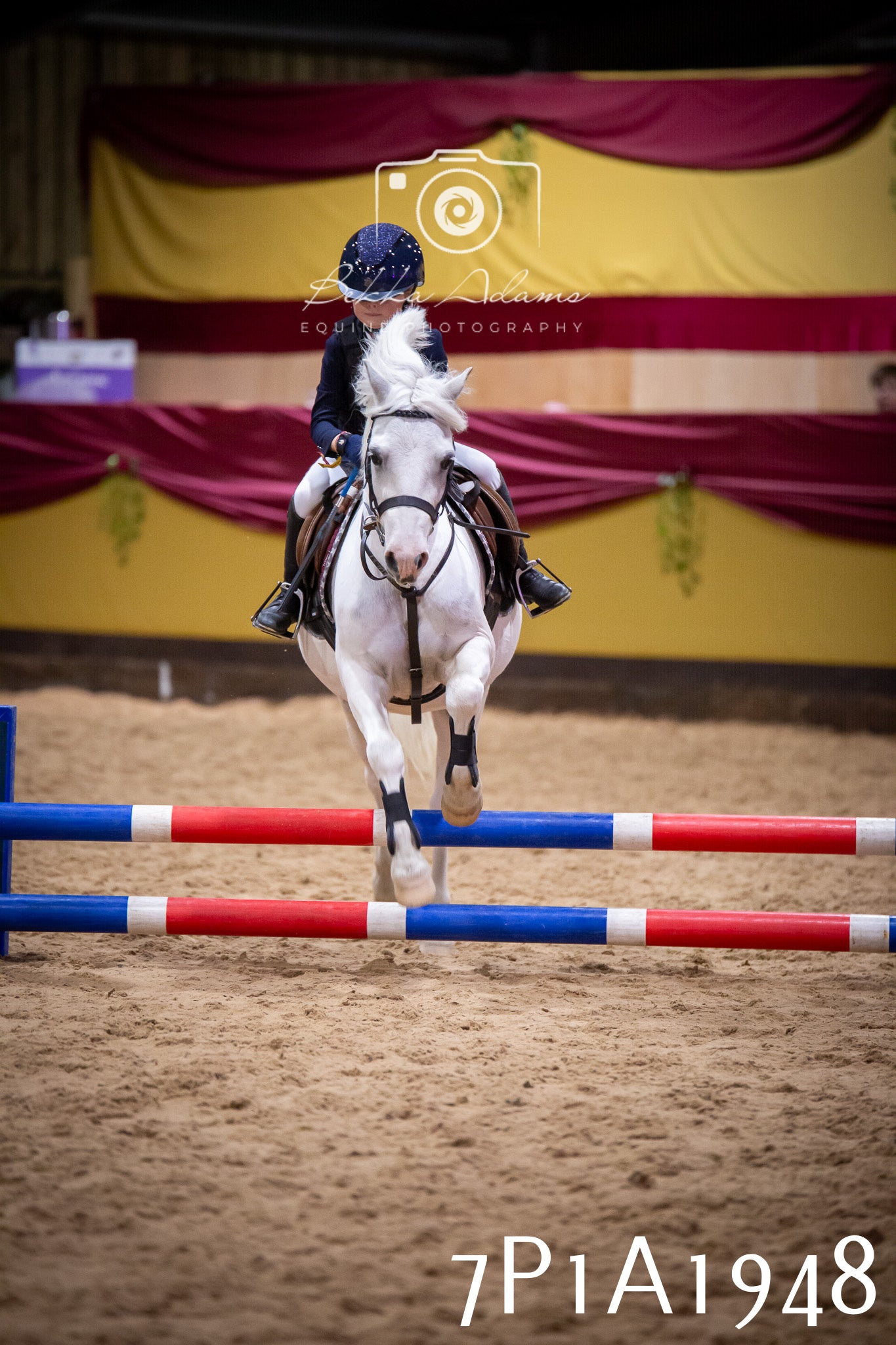 JHOYS 2025 - Show Jumping - 19th September pt2