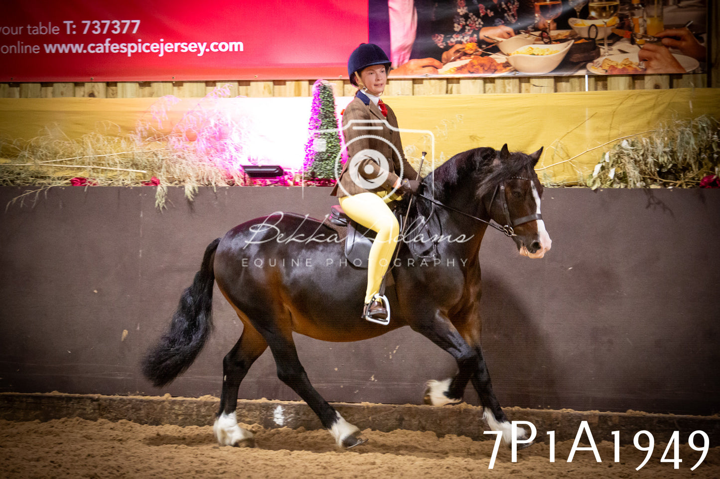 JHOYS 2025 - Ridden Showing - 28th September - pt1