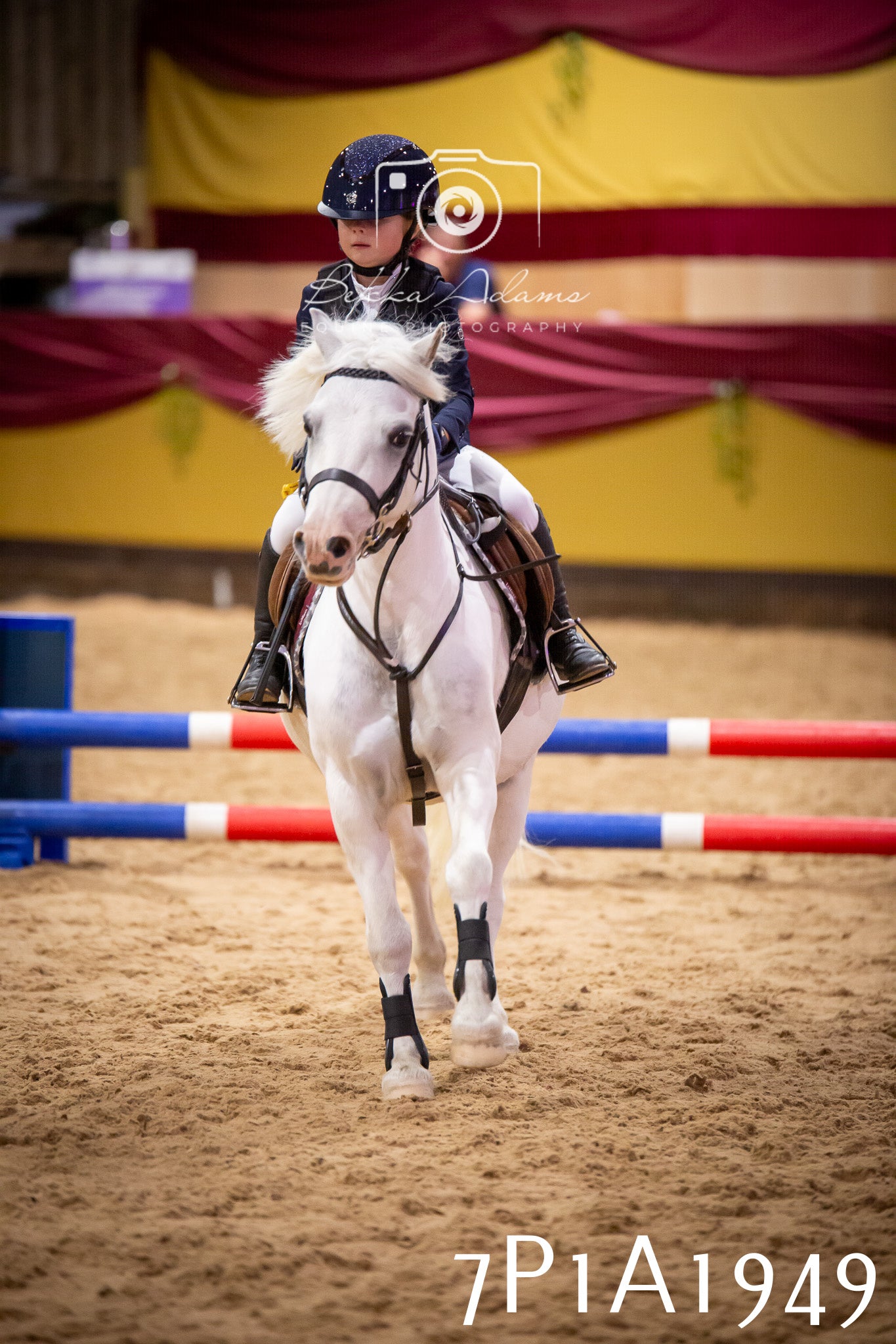 JHOYS 2025 - Show Jumping - 19th September pt2