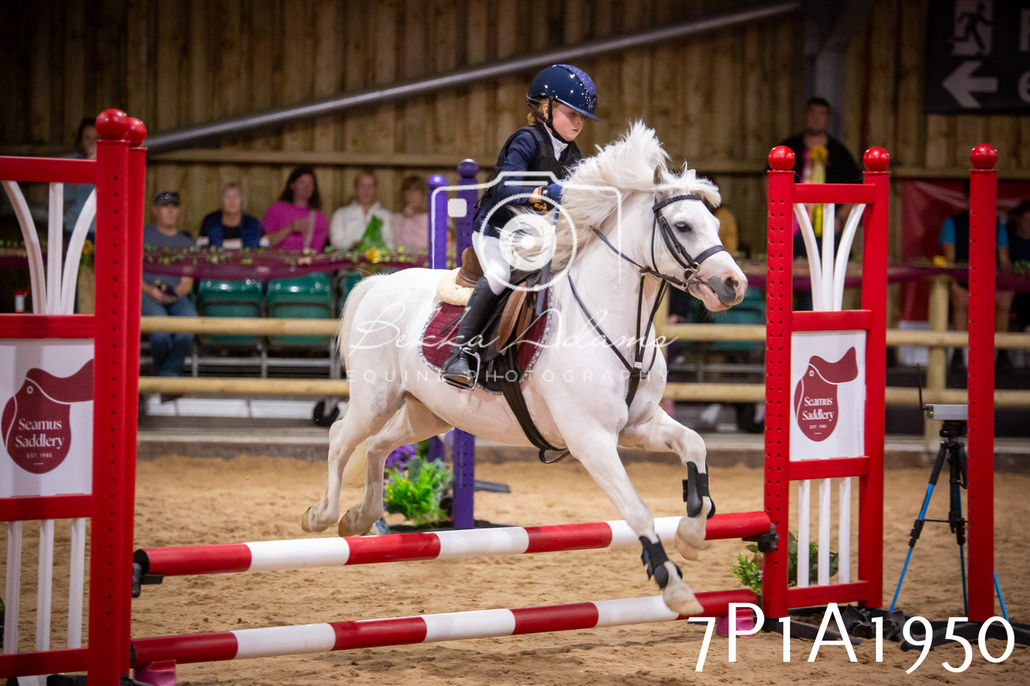 JHOYS 2025 - Show Jumping - 19th September pt2