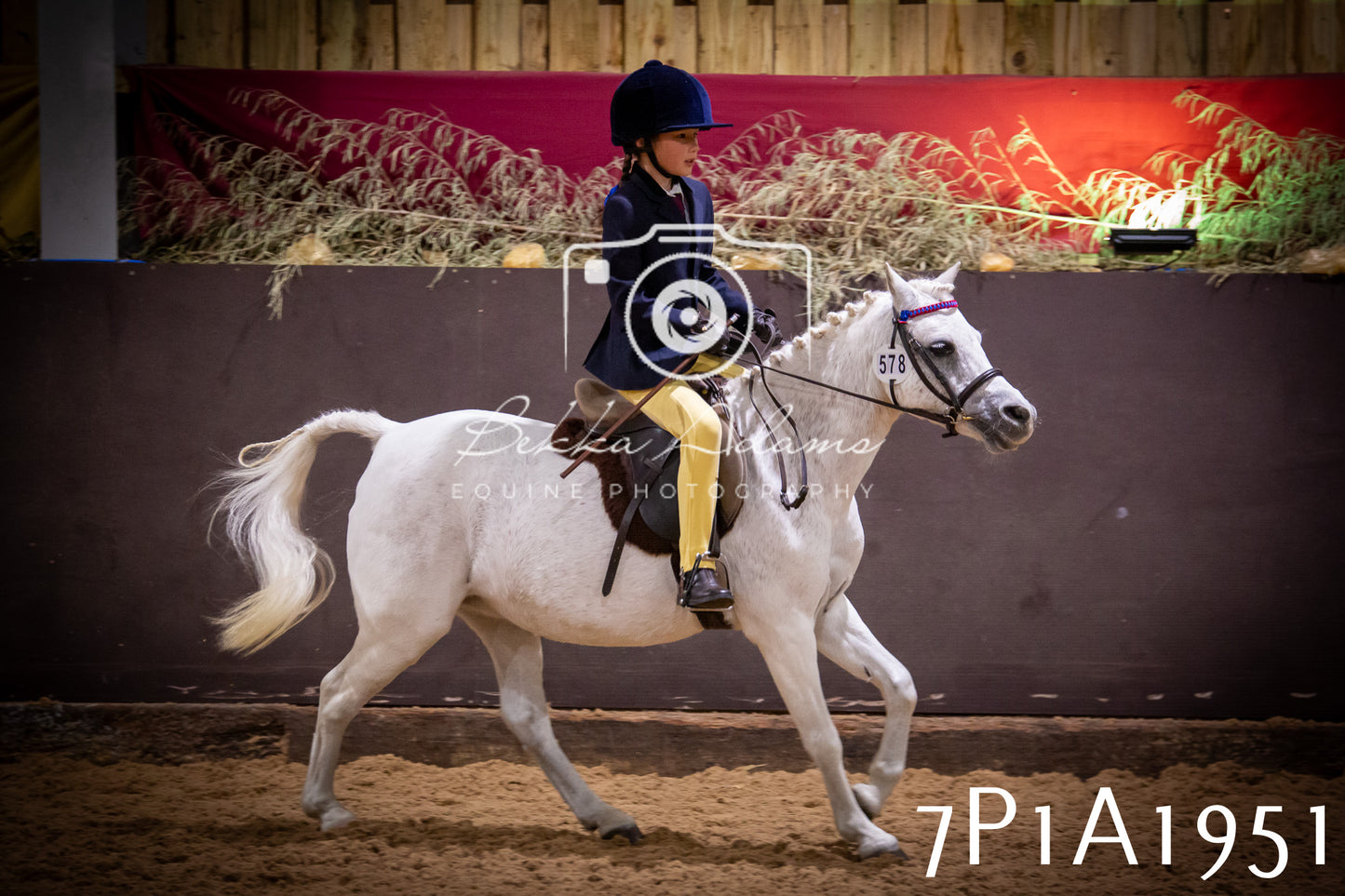 JHOYS 2025 - Ridden Showing - 28th September - pt1