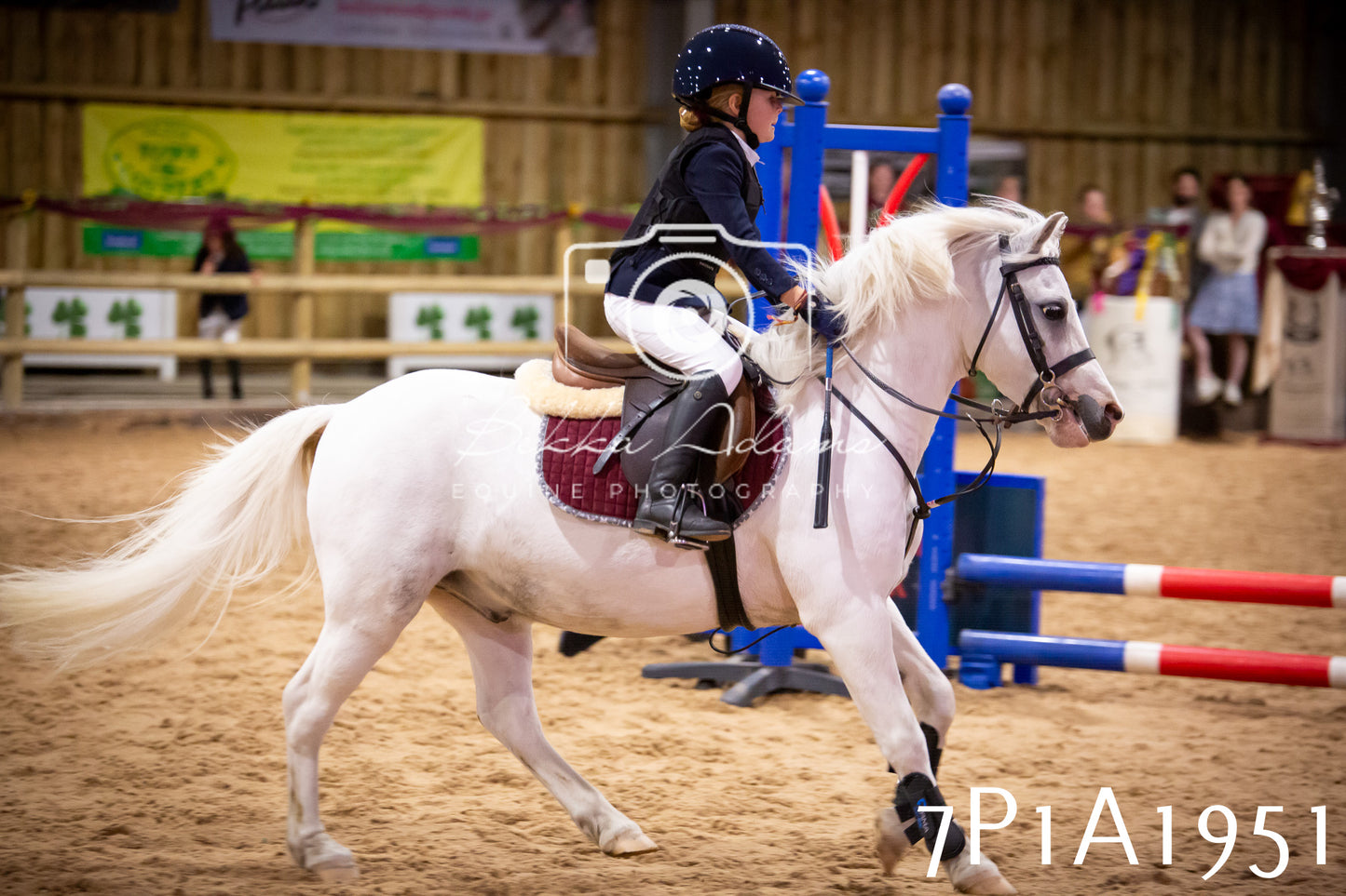 JHOYS 2025 - Show Jumping - 19th September pt2