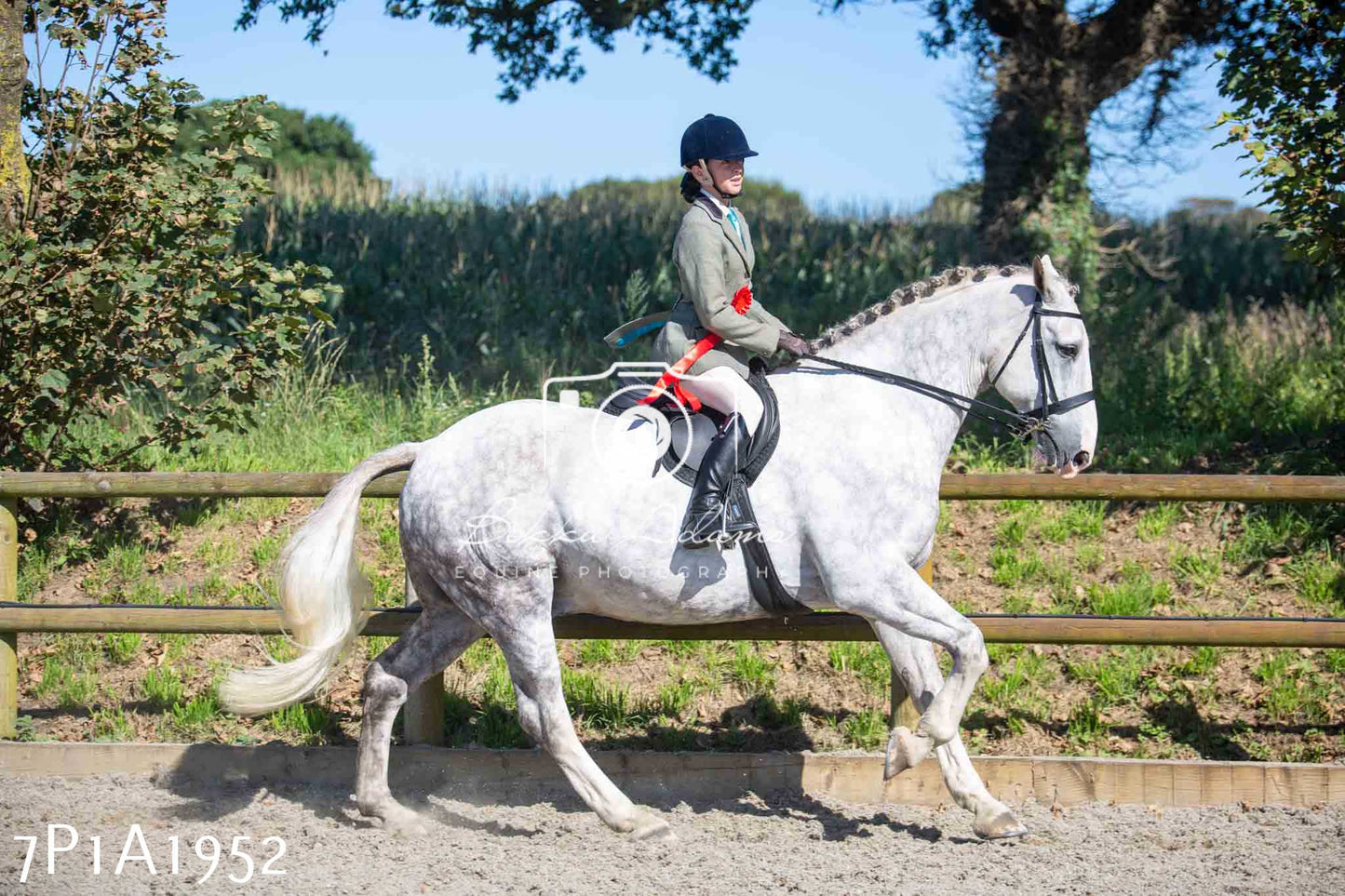 Home Farm Annual Show -Ridden Showing 20th August 2023 pt 2