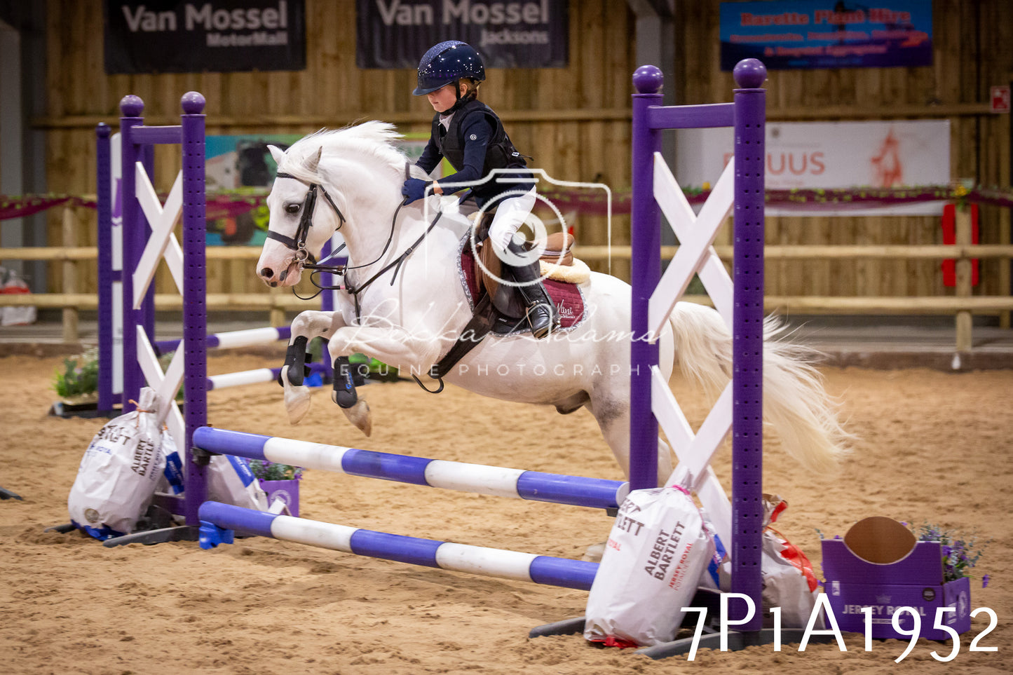 JHOYS 2025 - Show Jumping - 19th September pt2