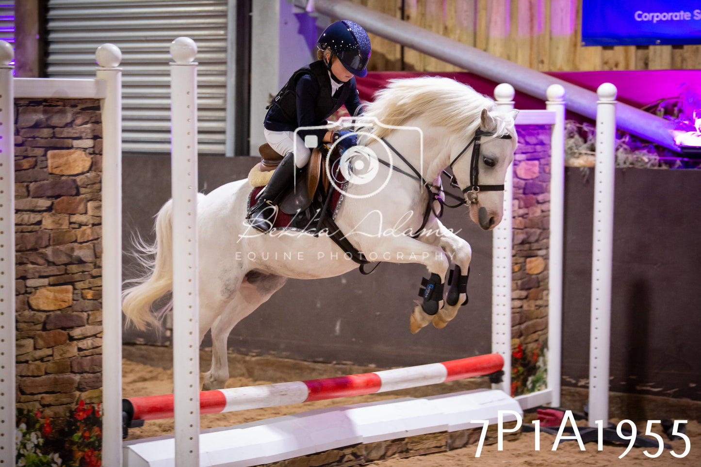 JHOYS 2025 - Show Jumping - 19th September pt2
