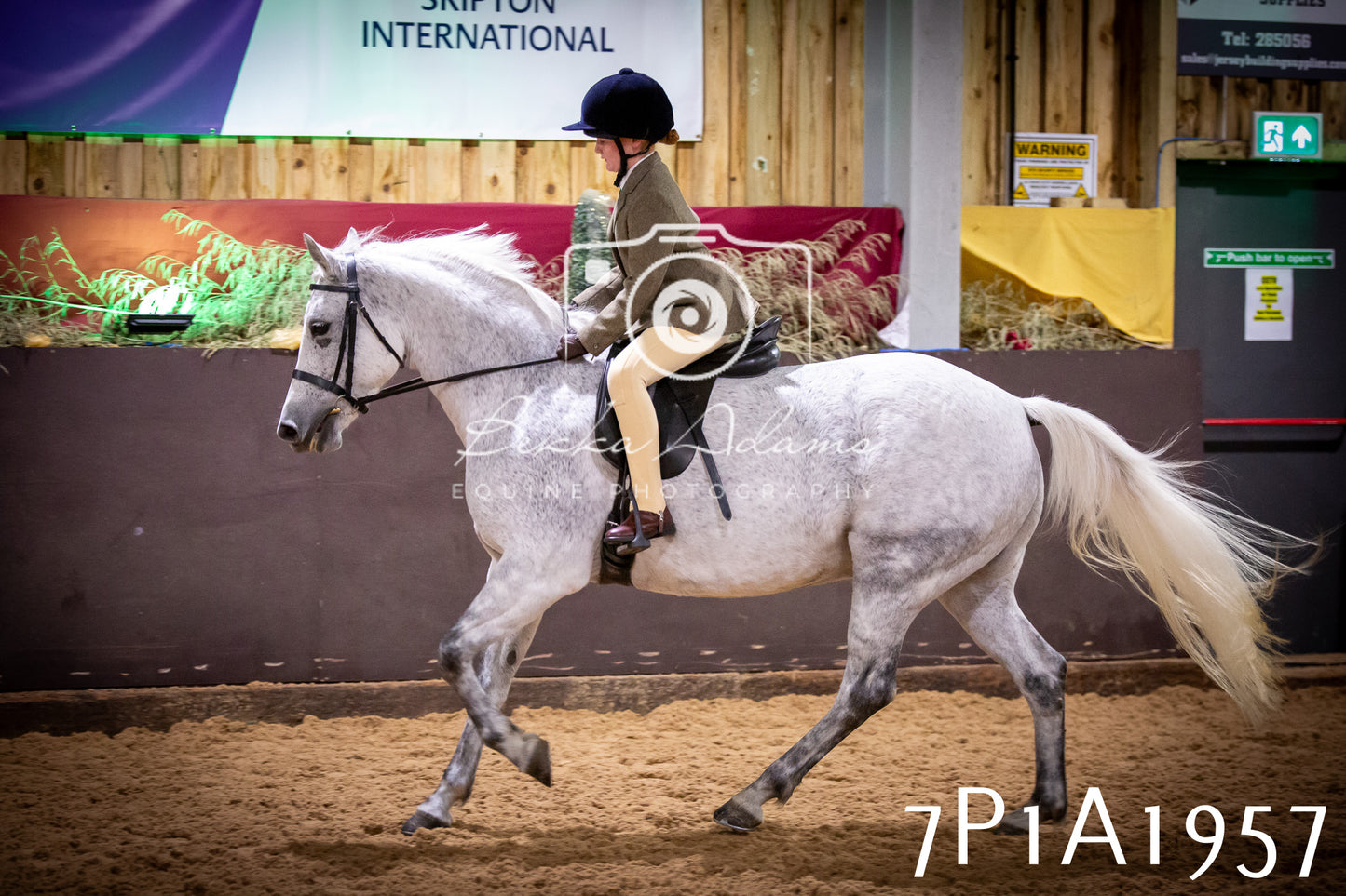 JHOYS 2025 - Ridden Showing - 28th September - pt1