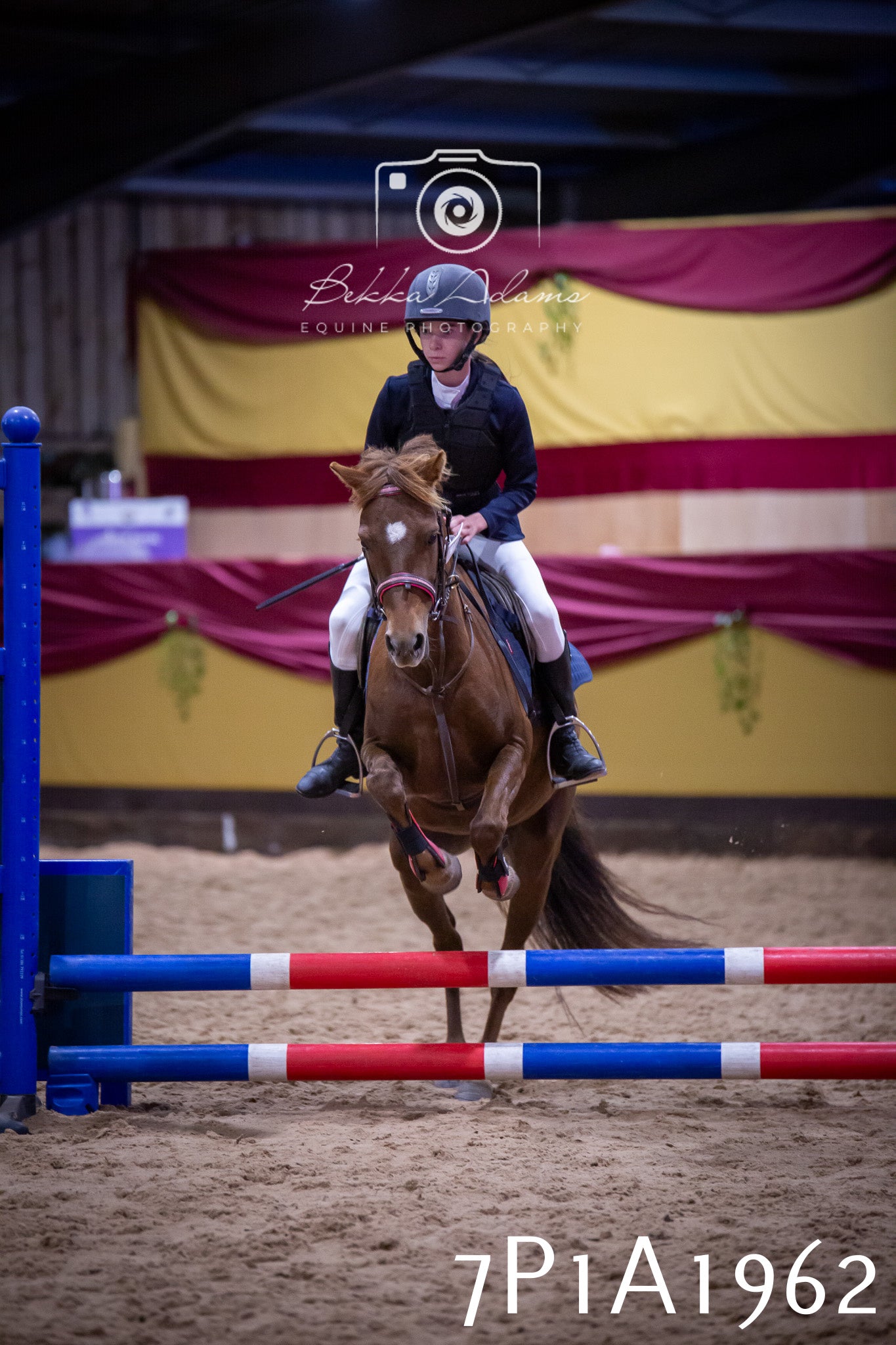 JHOYS 2025 - Show Jumping - 19th September pt2