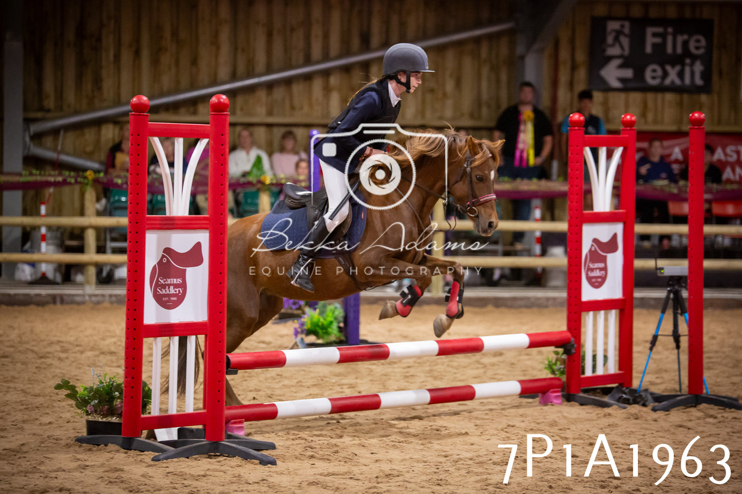 JHOYS 2025 - Show Jumping - 19th September pt2