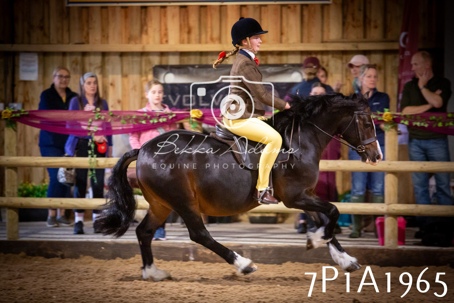 JHOYS 2025 - Ridden Showing - 28th September - pt1