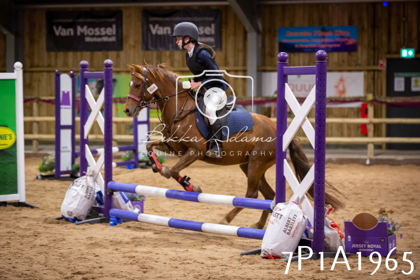 JHOYS 2025 - Show Jumping - 19th September pt2