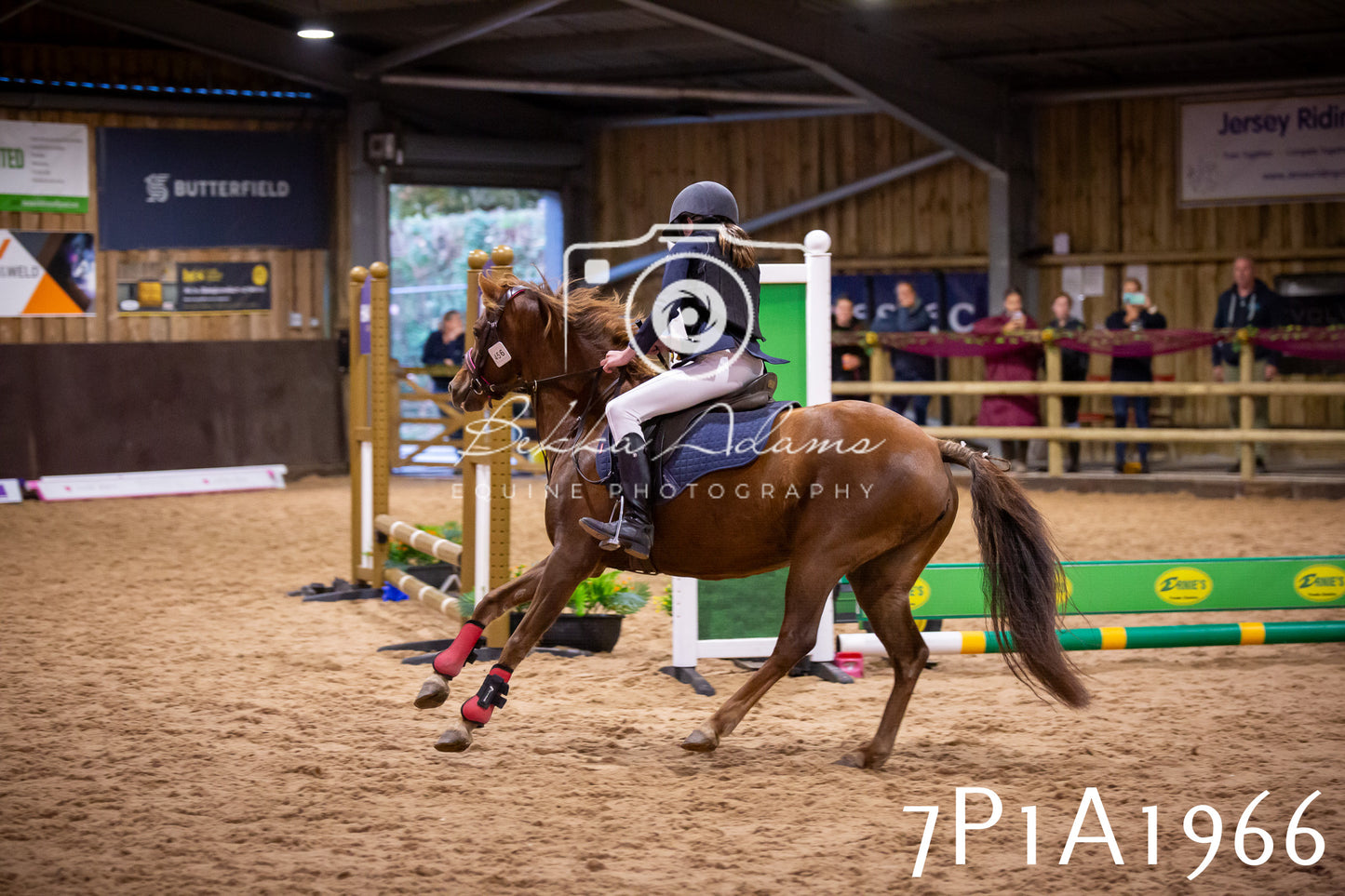 JHOYS 2025 - Show Jumping - 19th September pt2