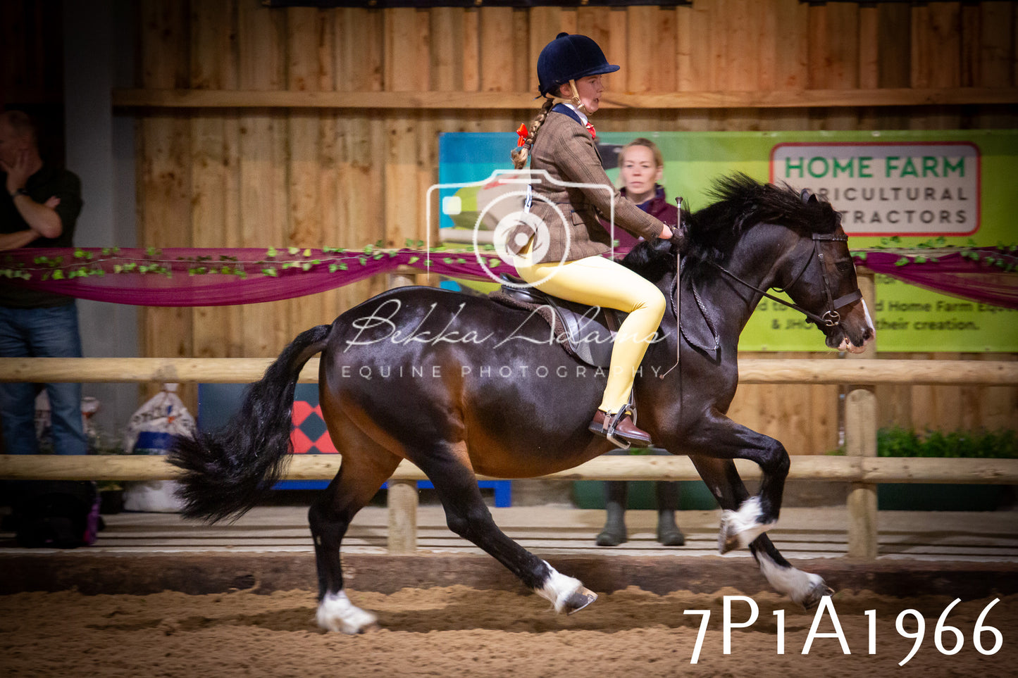 JHOYS 2025 - Ridden Showing - 28th September - pt1