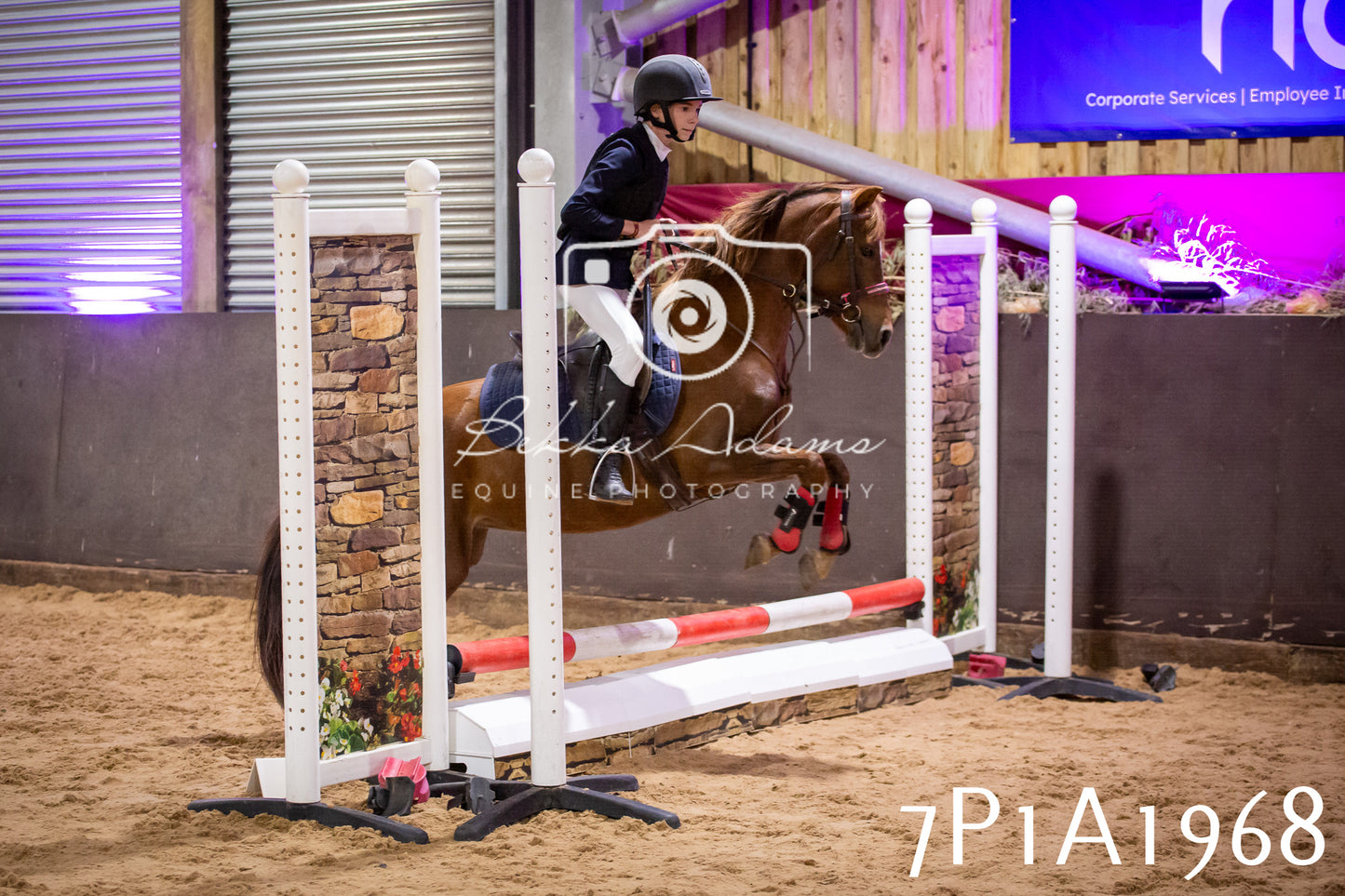 JHOYS 2025 - Show Jumping - 19th September pt2
