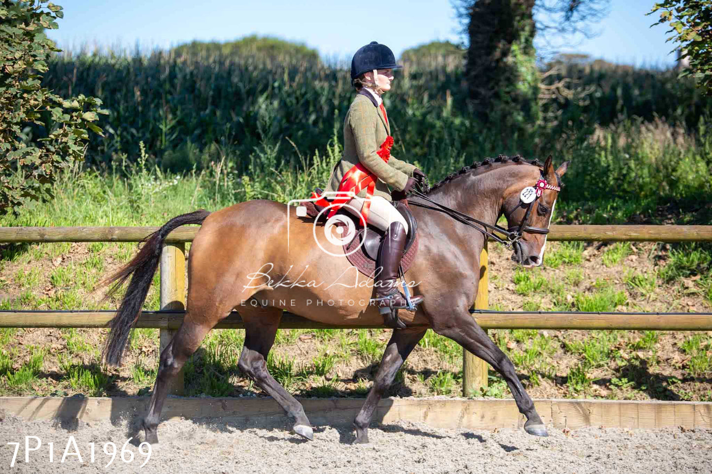Home Farm Annual Show -Ridden Showing 20th August 2023 pt 2