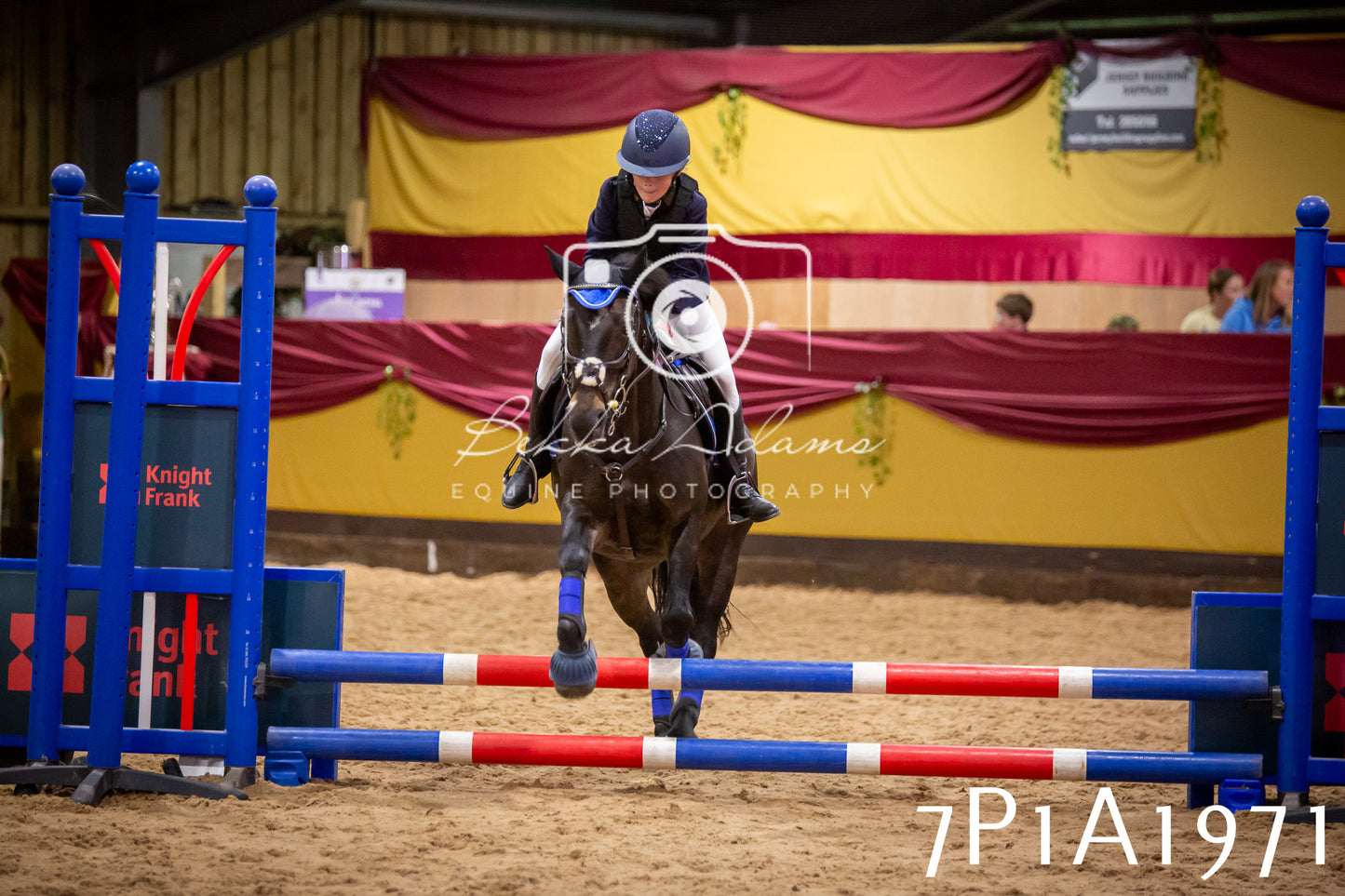 JHOYS 2025 - Show Jumping - 19th September pt2