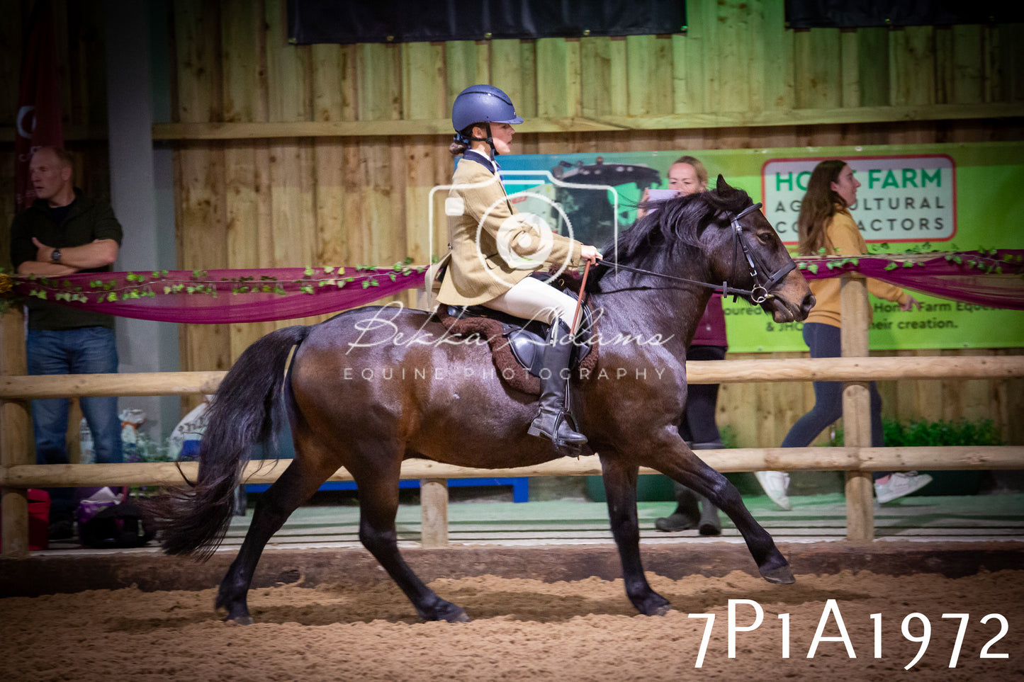 JHOYS 2025 - Ridden Showing - 28th September - pt1
