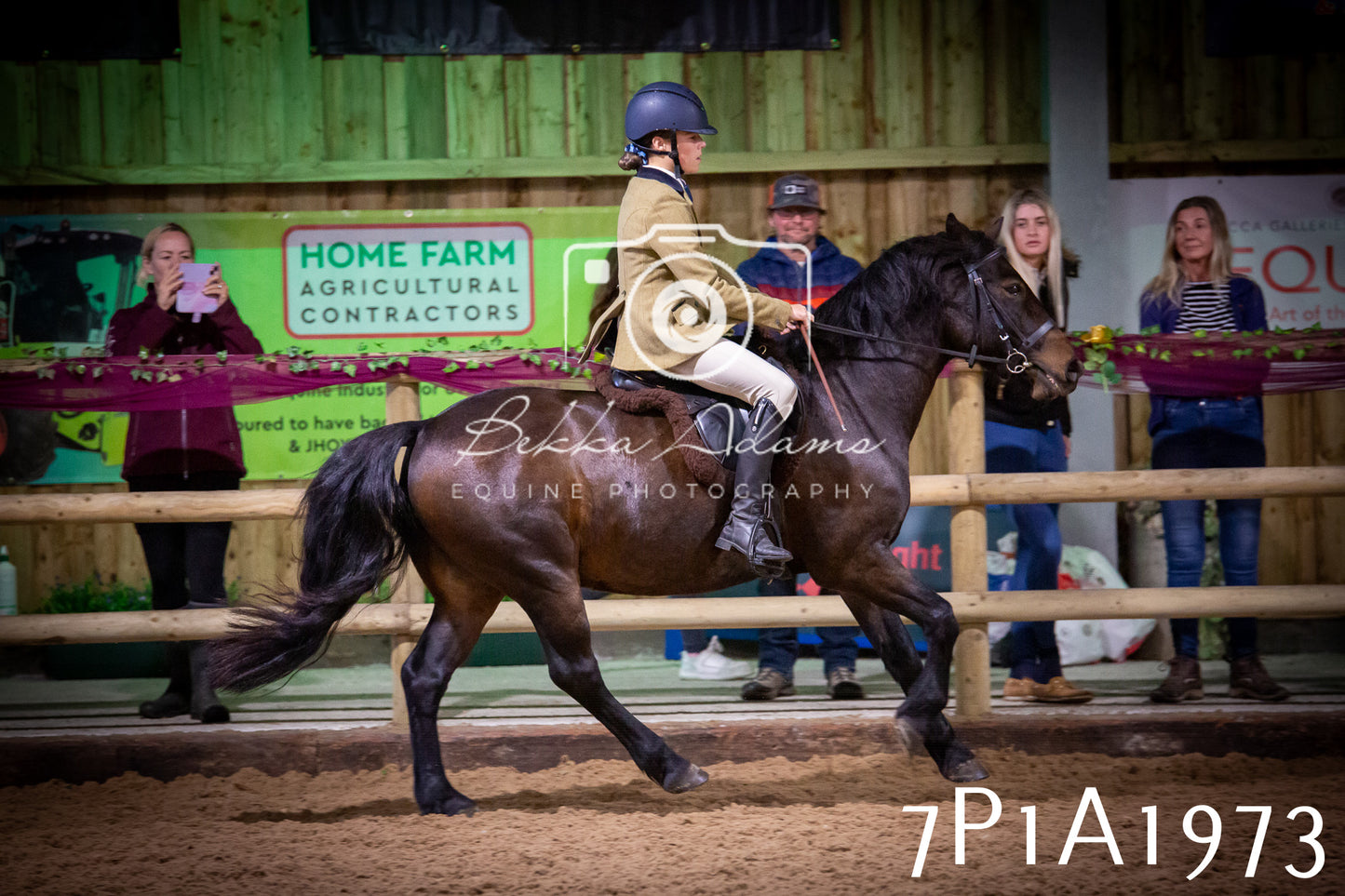 JHOYS 2025 - Ridden Showing - 28th September - pt1
