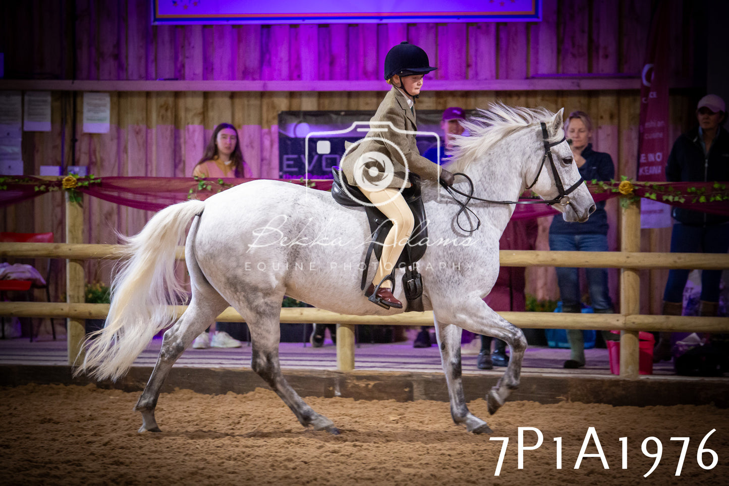 JHOYS 2025 - Ridden Showing - 28th September - pt1
