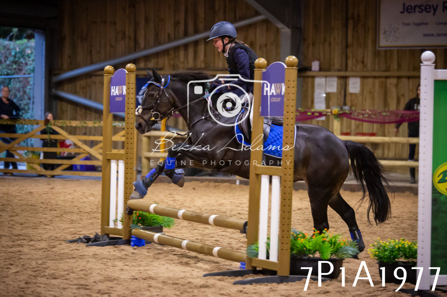 JHOYS 2025 - Show Jumping - 19th September pt2