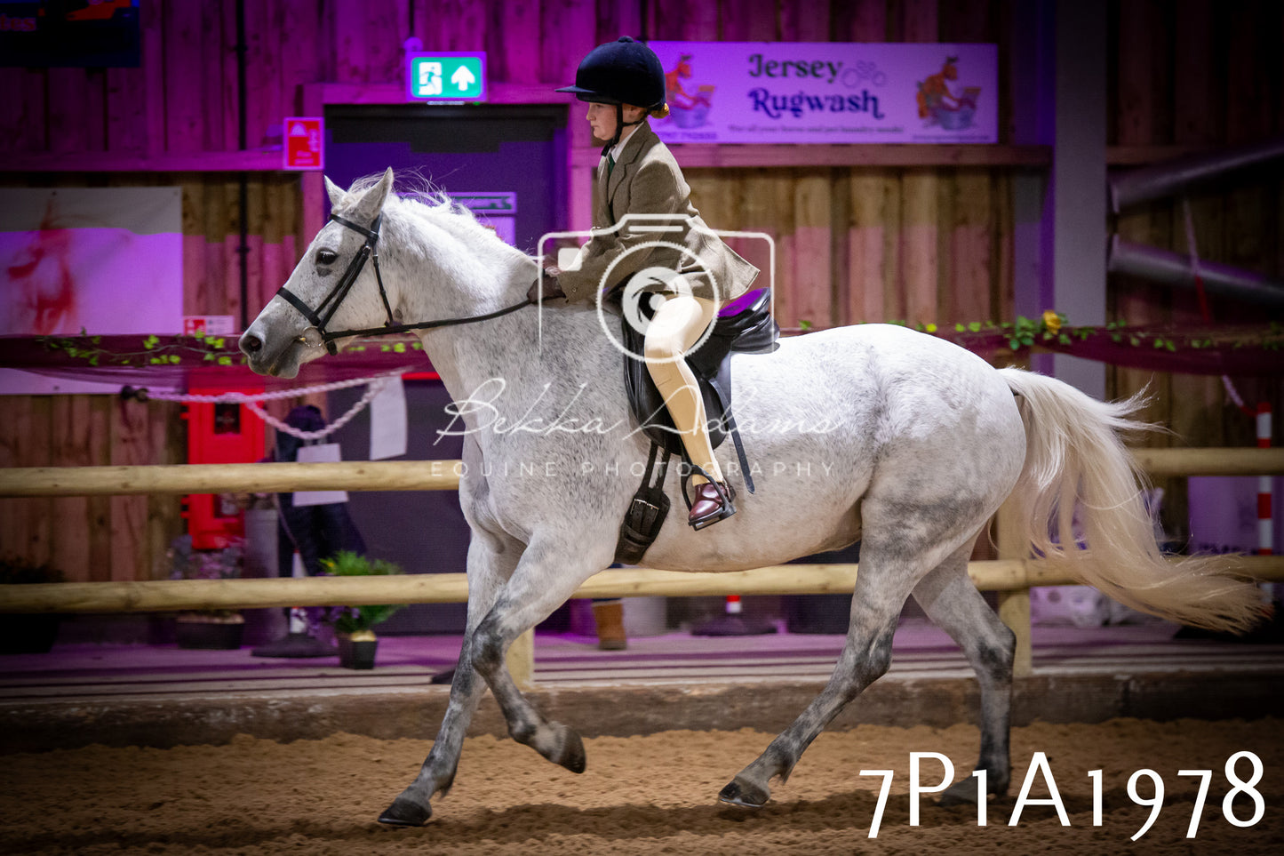 JHOYS 2025 - Ridden Showing - 28th September - pt1