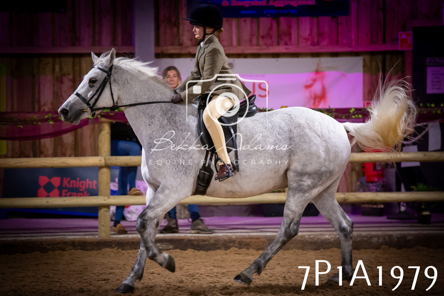 JHOYS 2025 - Ridden Showing - 28th September - pt1