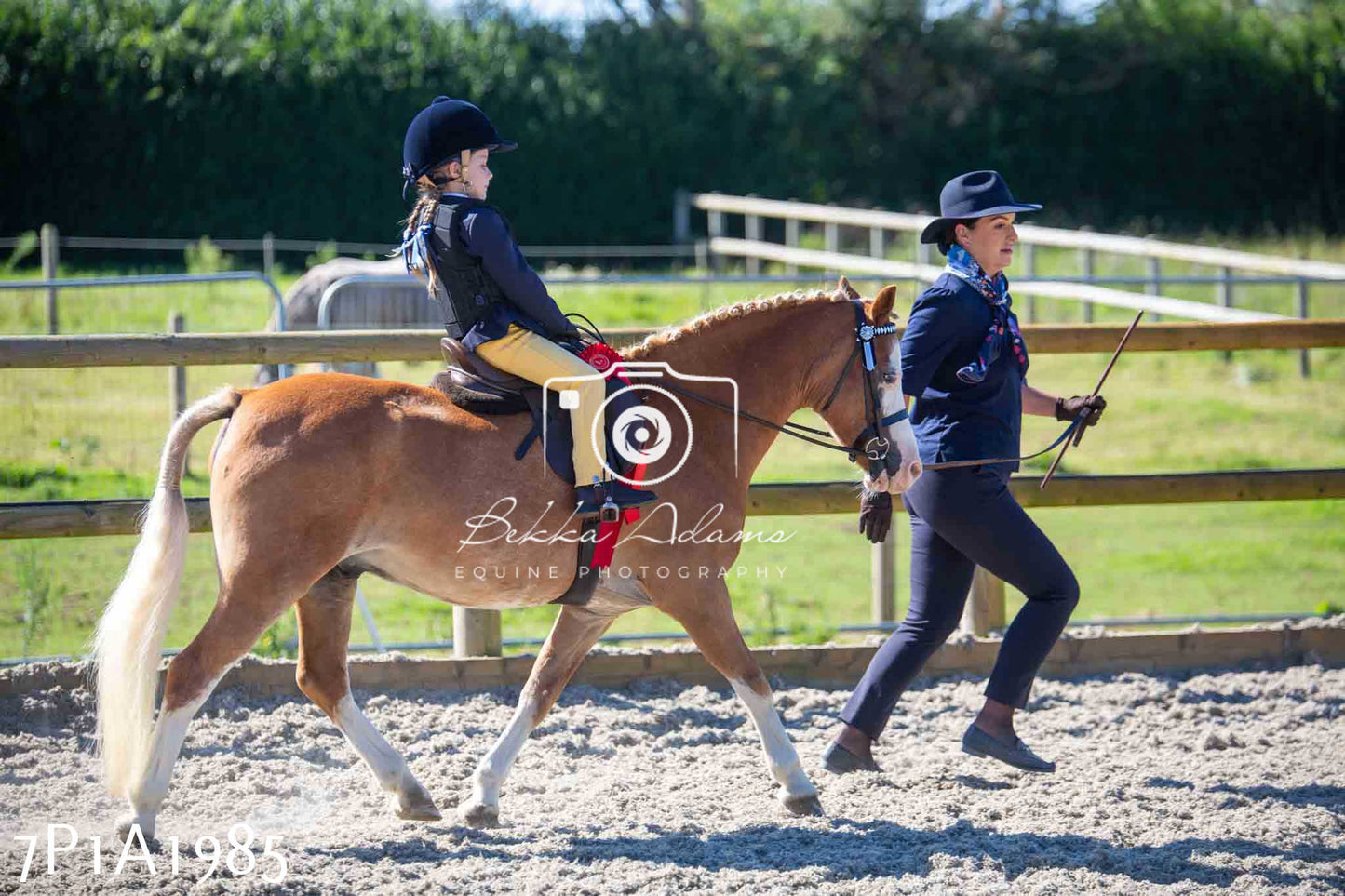 Home Farm Annual Show -Ridden Showing 20th August 2023 pt 2