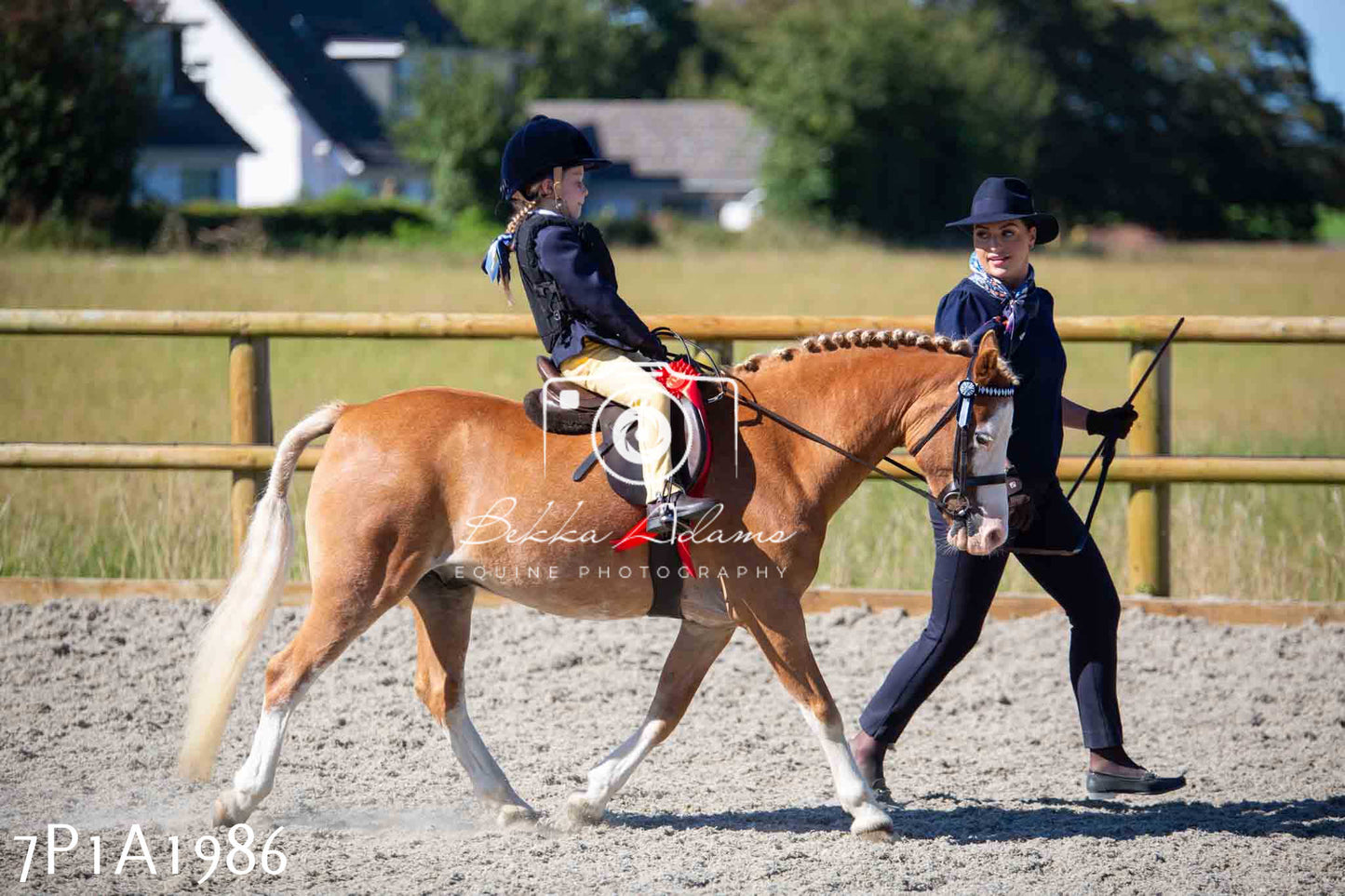Home Farm Annual Show -Ridden Showing 20th August 2023 pt 2