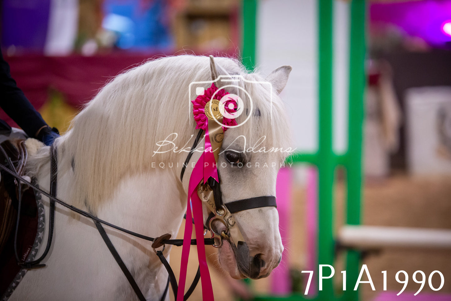 JHOYS 2025 - Show Jumping - 19th September pt2