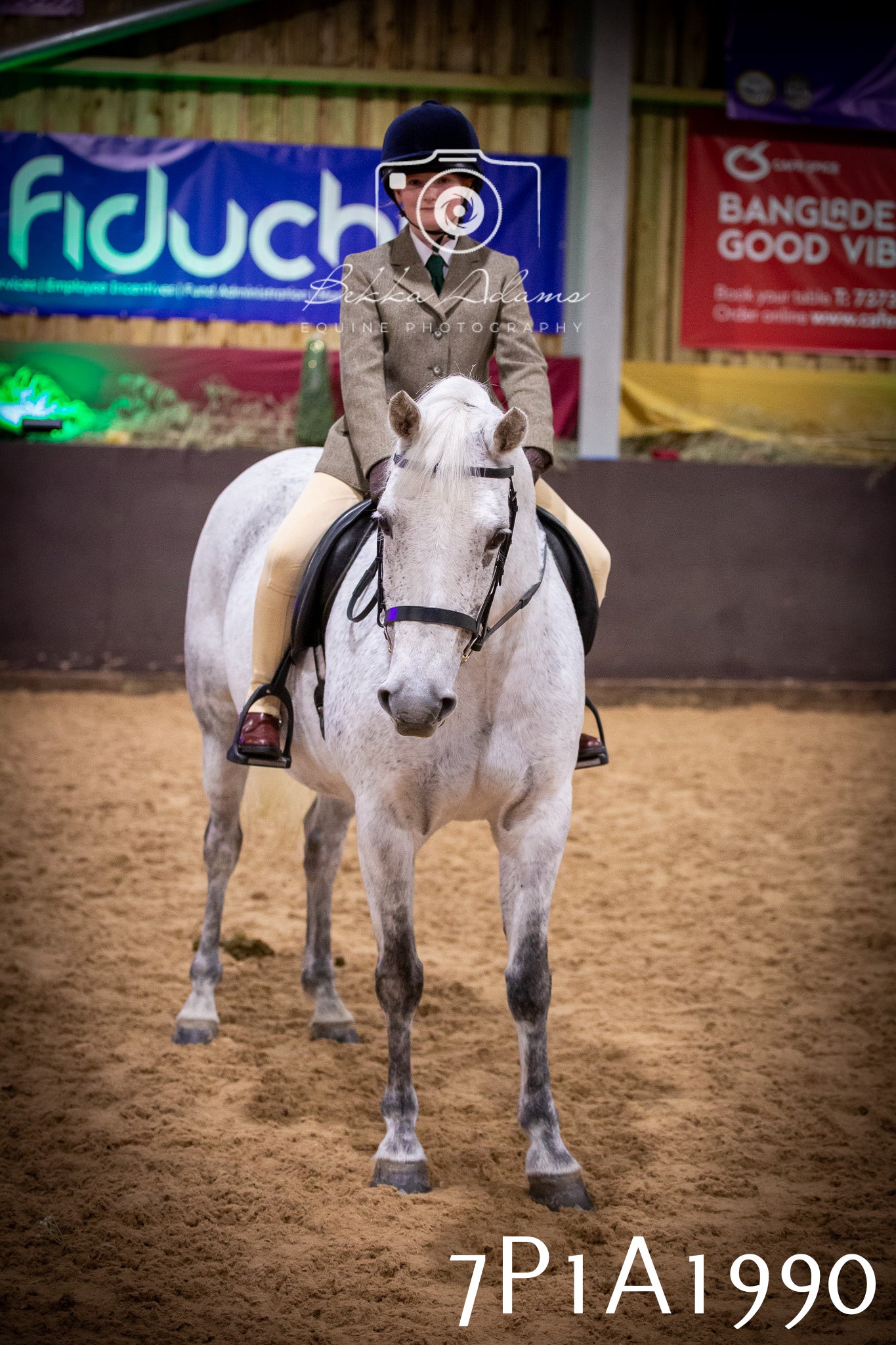 JHOYS 2025 - Ridden Showing - 28th September - pt1
