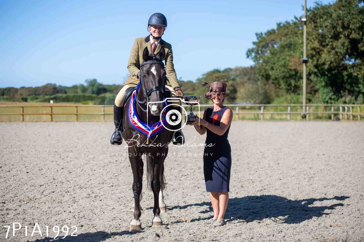 Home Farm Annual Show -Ridden Showing 20th August 2023 pt 2
