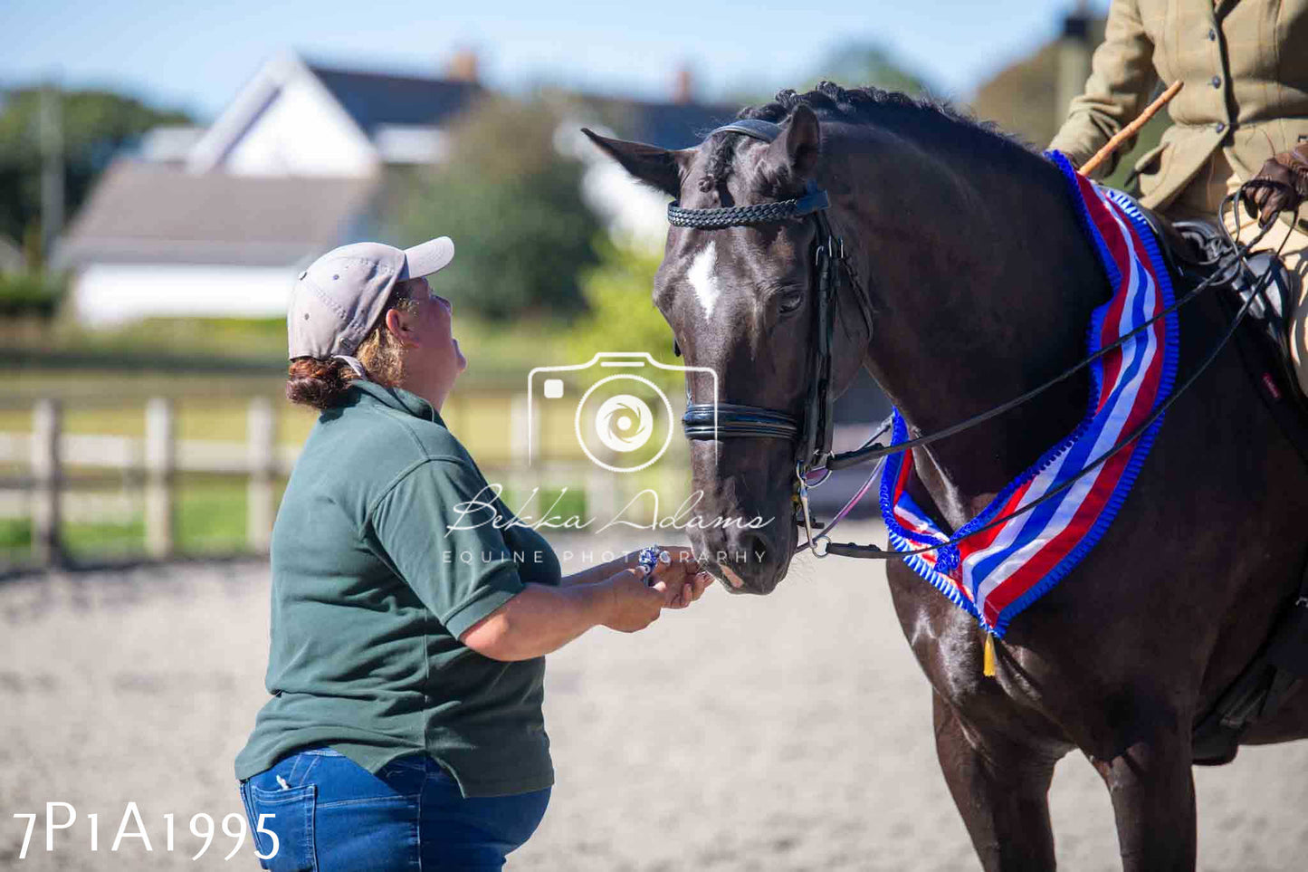 Home Farm Annual Show -Ridden Showing 20th August 2023 pt 2