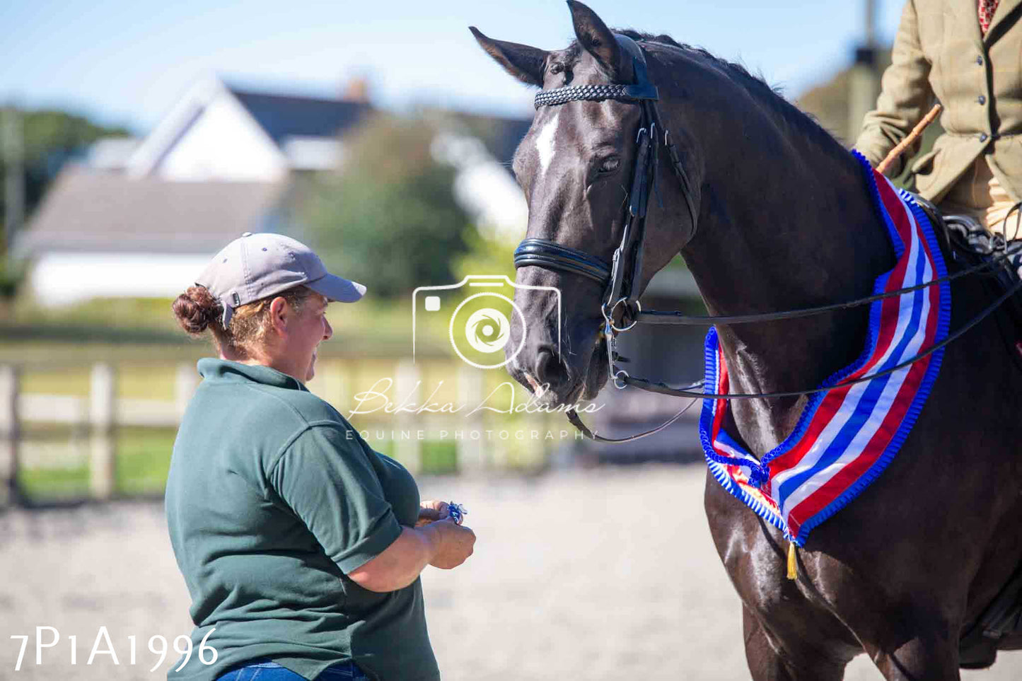 Home Farm Annual Show -Ridden Showing 20th August 2023 pt 2