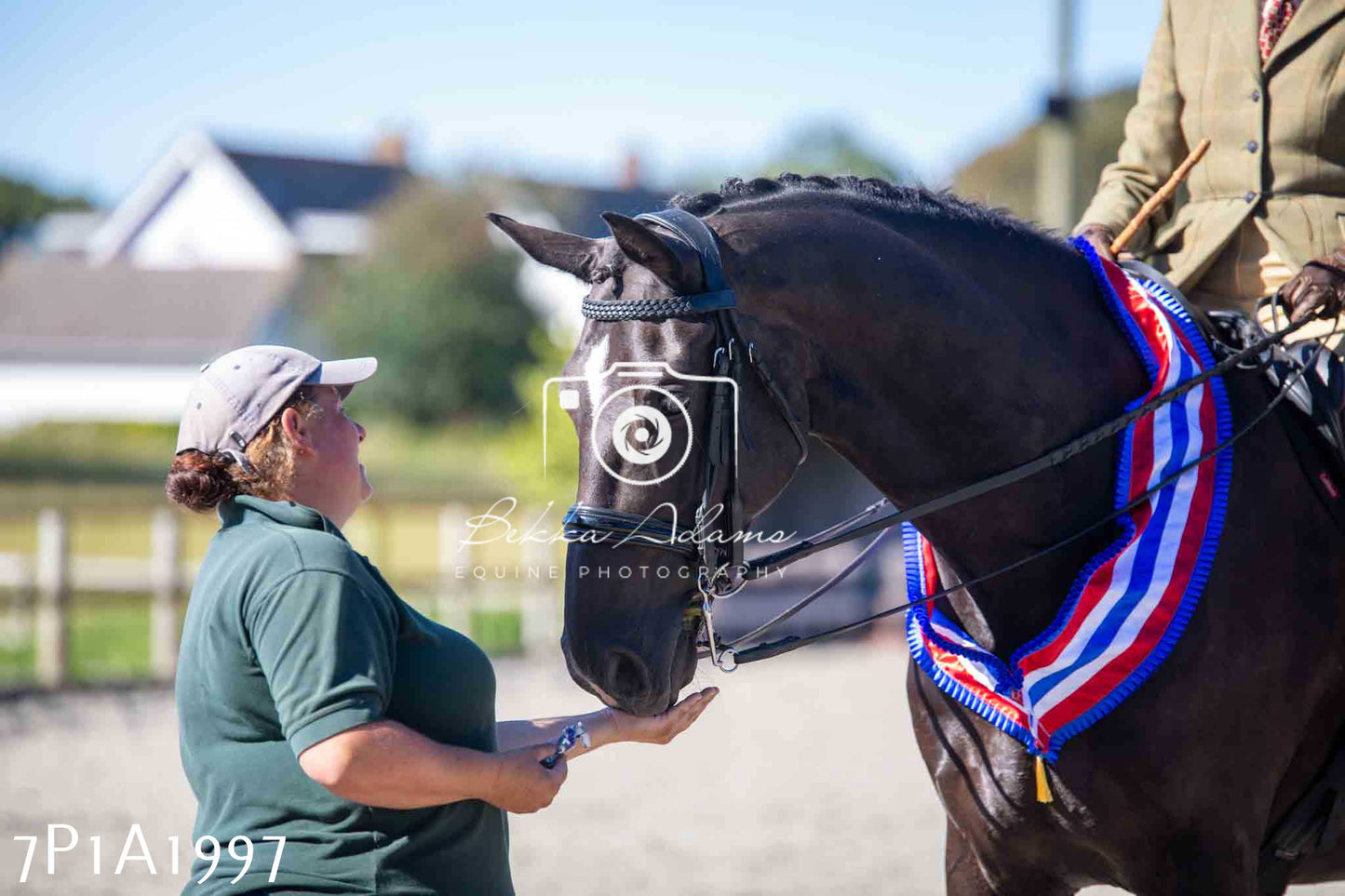 Home Farm Annual Show -Ridden Showing 20th August 2023 pt 2