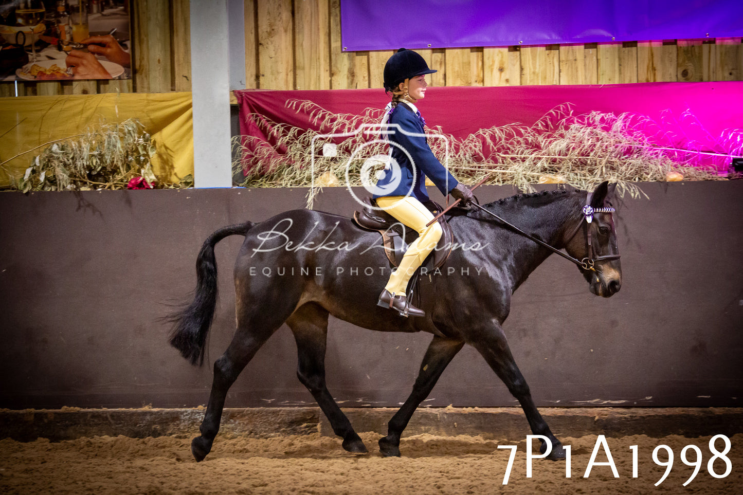 JHOYS 2025 - Ridden Showing - 28th September - pt1