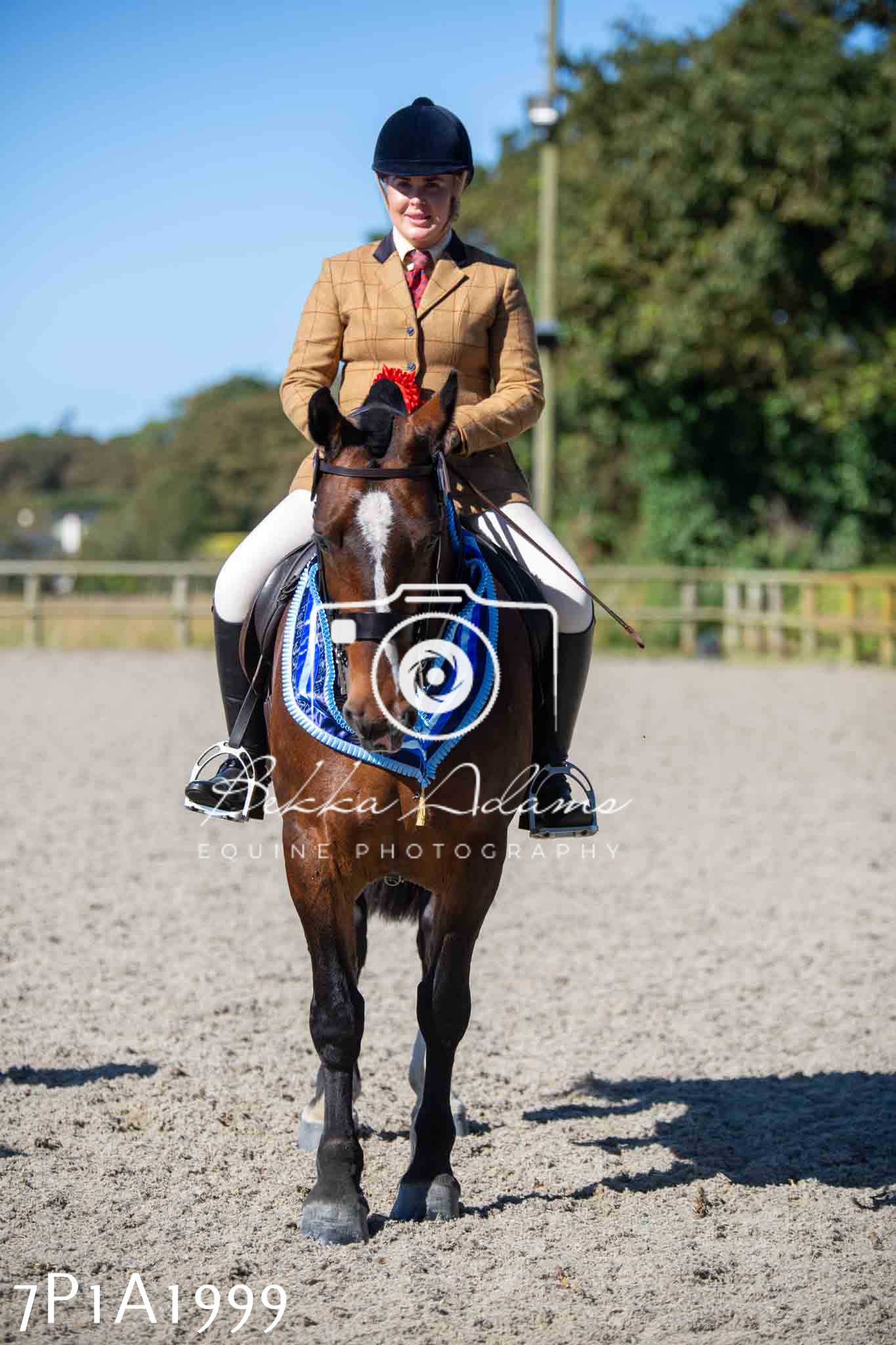 Home Farm Annual Show -Ridden Showing 20th August 2023 pt 2