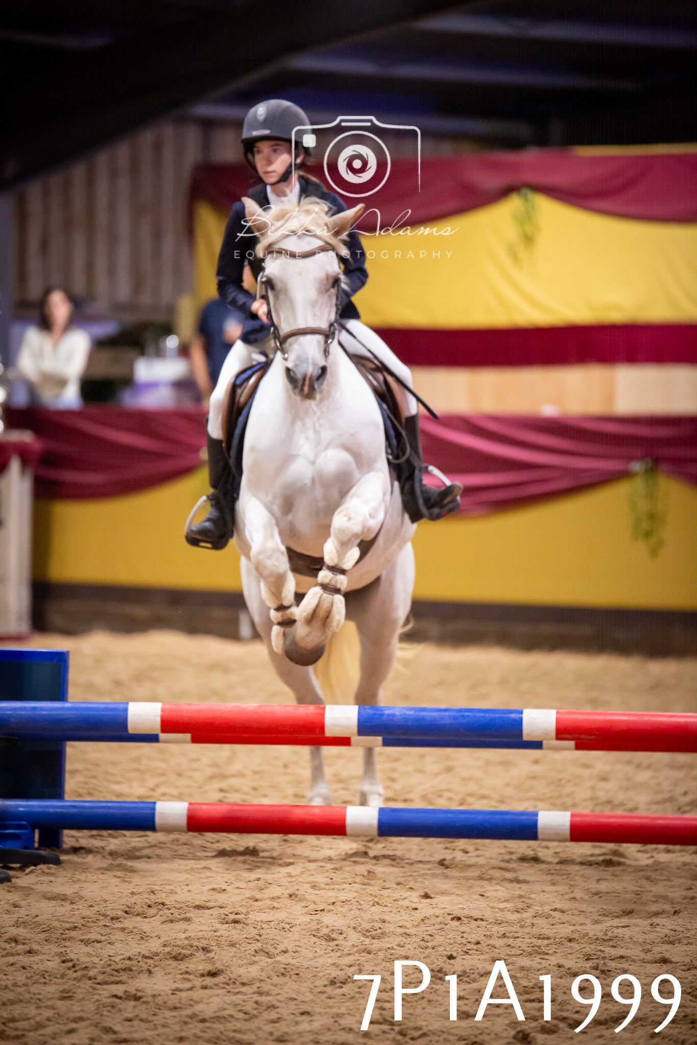 JHOYS 2025 - Show Jumping - 19th September pt2