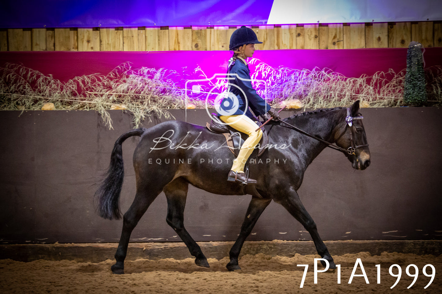 JHOYS 2025 - Ridden Showing - 28th September - pt1