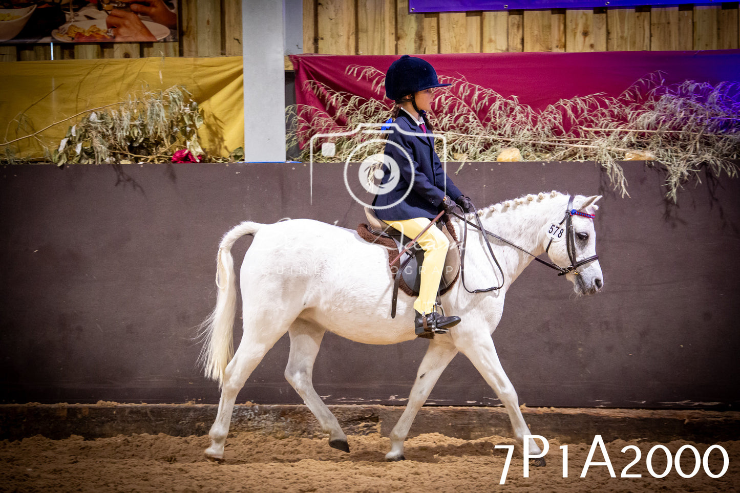 JHOYS 2025 - Ridden Showing - 28th September - pt1
