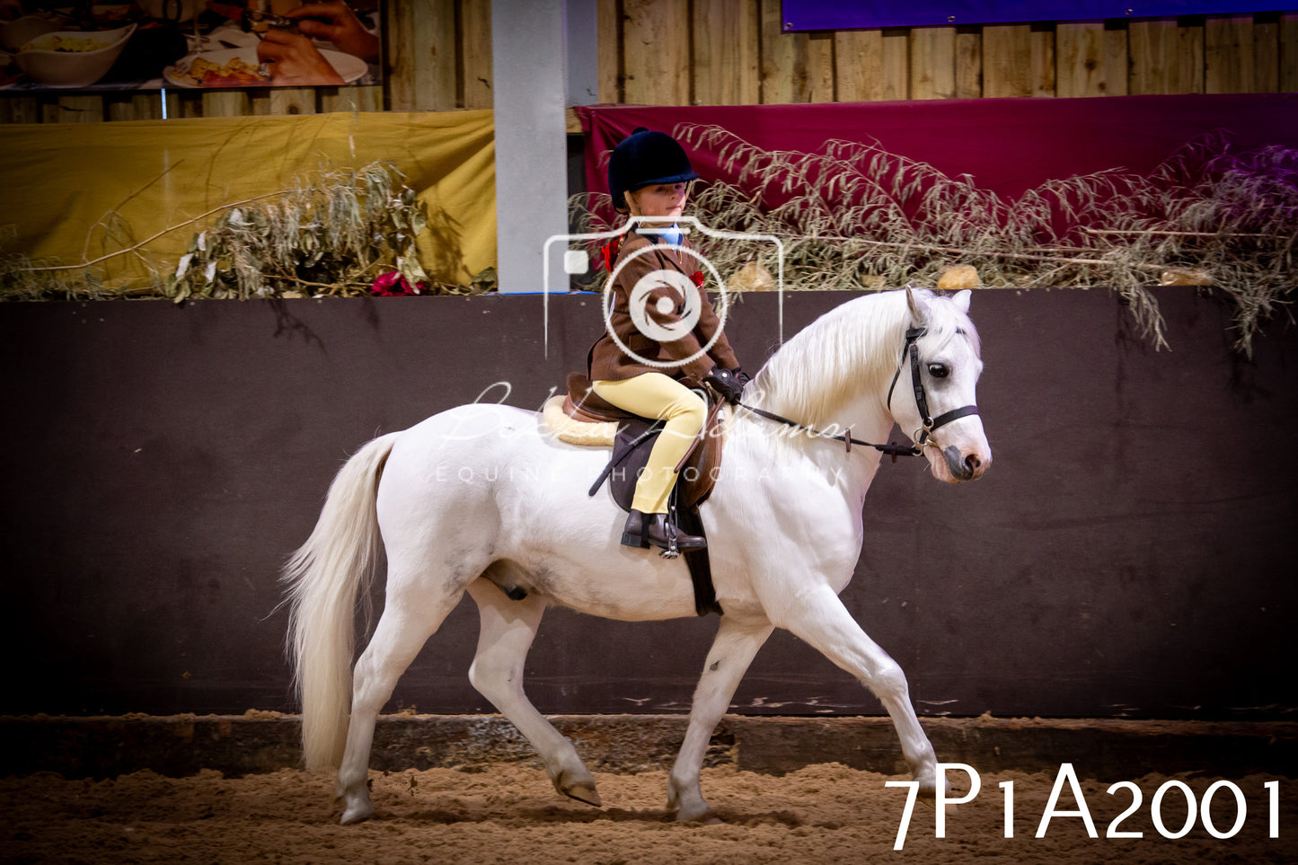 JHOYS 2025 - Ridden Showing - 28th September - pt1