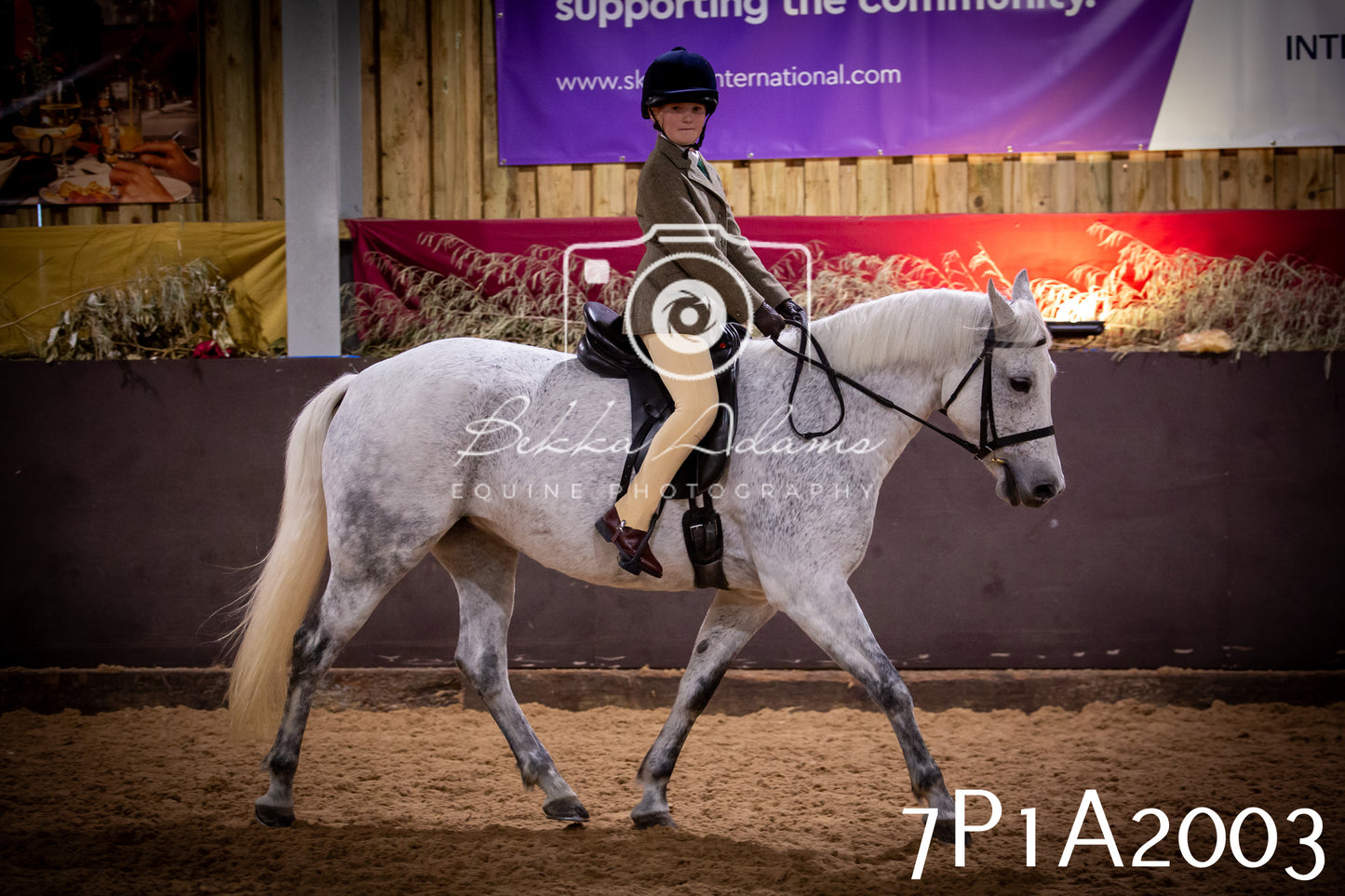 JHOYS 2025 - Ridden Showing - 28th September - pt1