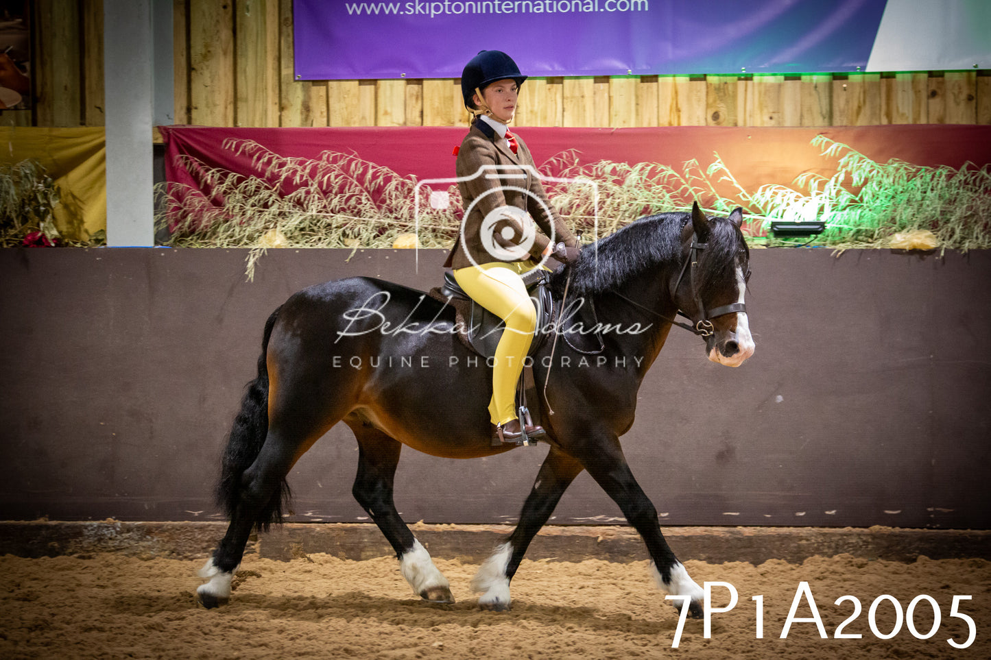 JHOYS 2025 - Ridden Showing - 28th September - pt1