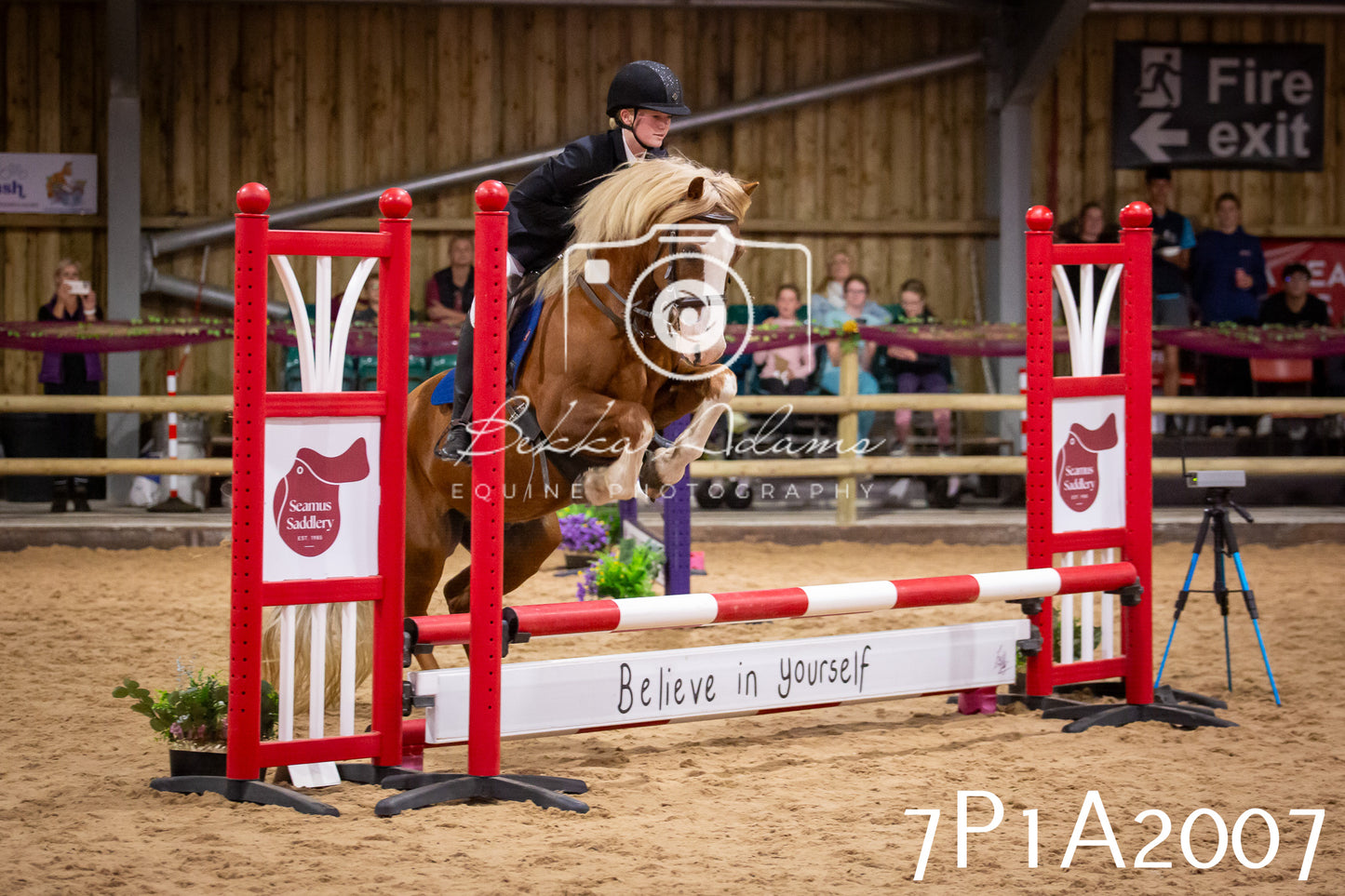 JHOYS 2025 - Show Jumping - 19th September pt2