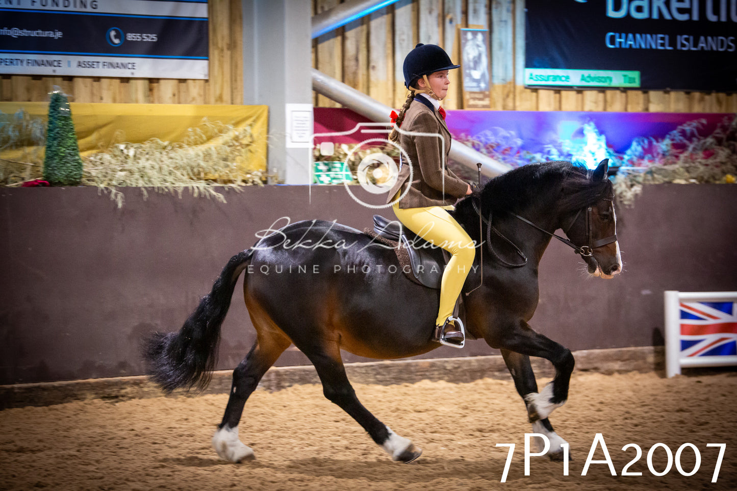 JHOYS 2025 - Ridden Showing - 28th September - pt1
