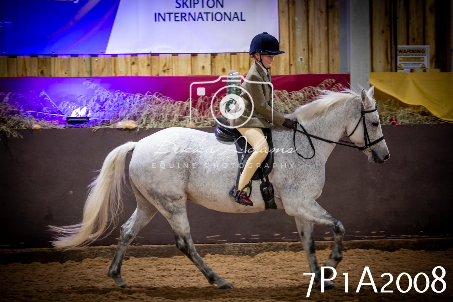 JHOYS 2025 - Ridden Showing - 28th September - pt1