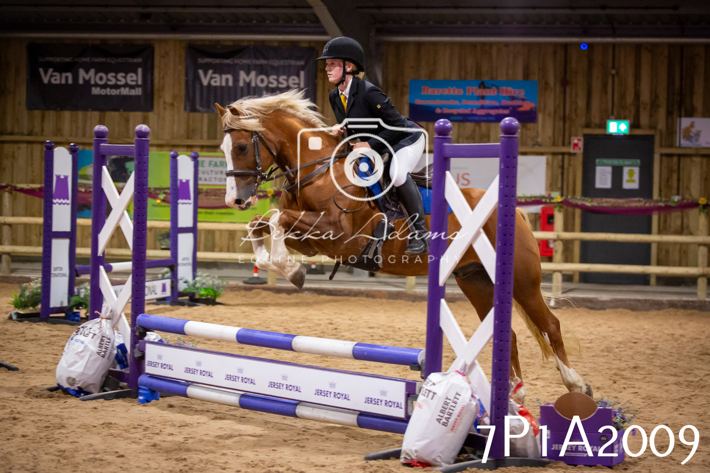 JHOYS 2025 - Show Jumping - 19th September pt2