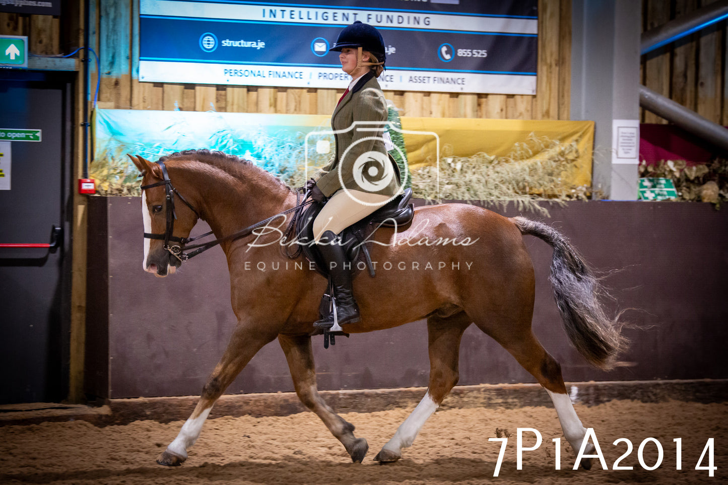 JHOYS 2025 - Ridden Showing - 28th September - pt1