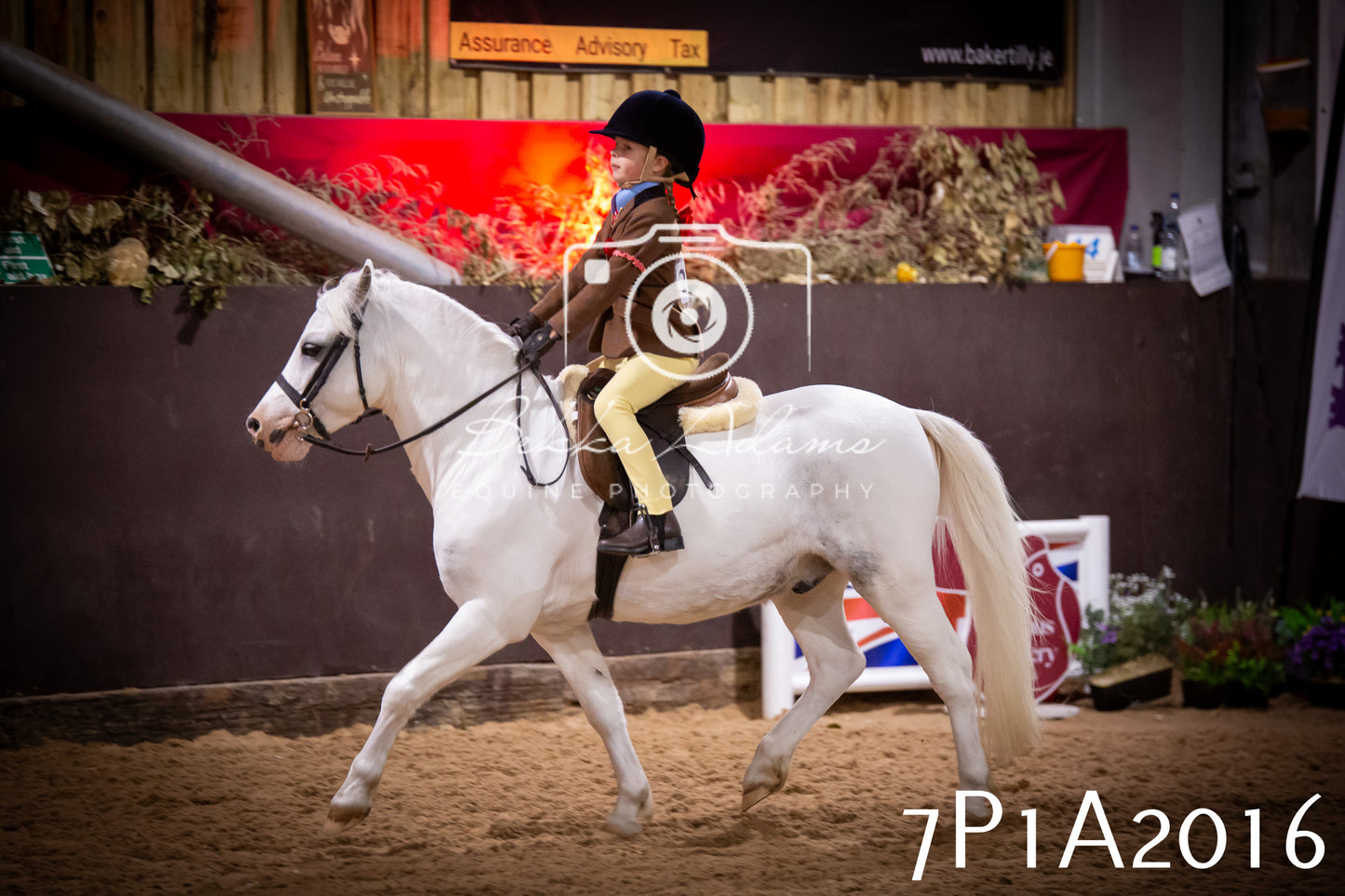 JHOYS 2025 - Ridden Showing - 28th September - pt1